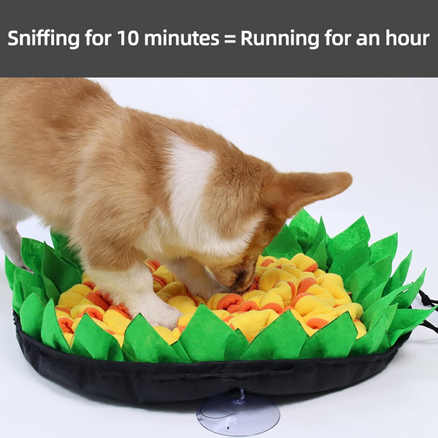 Pet Snuffle Mat - Various Colours Available