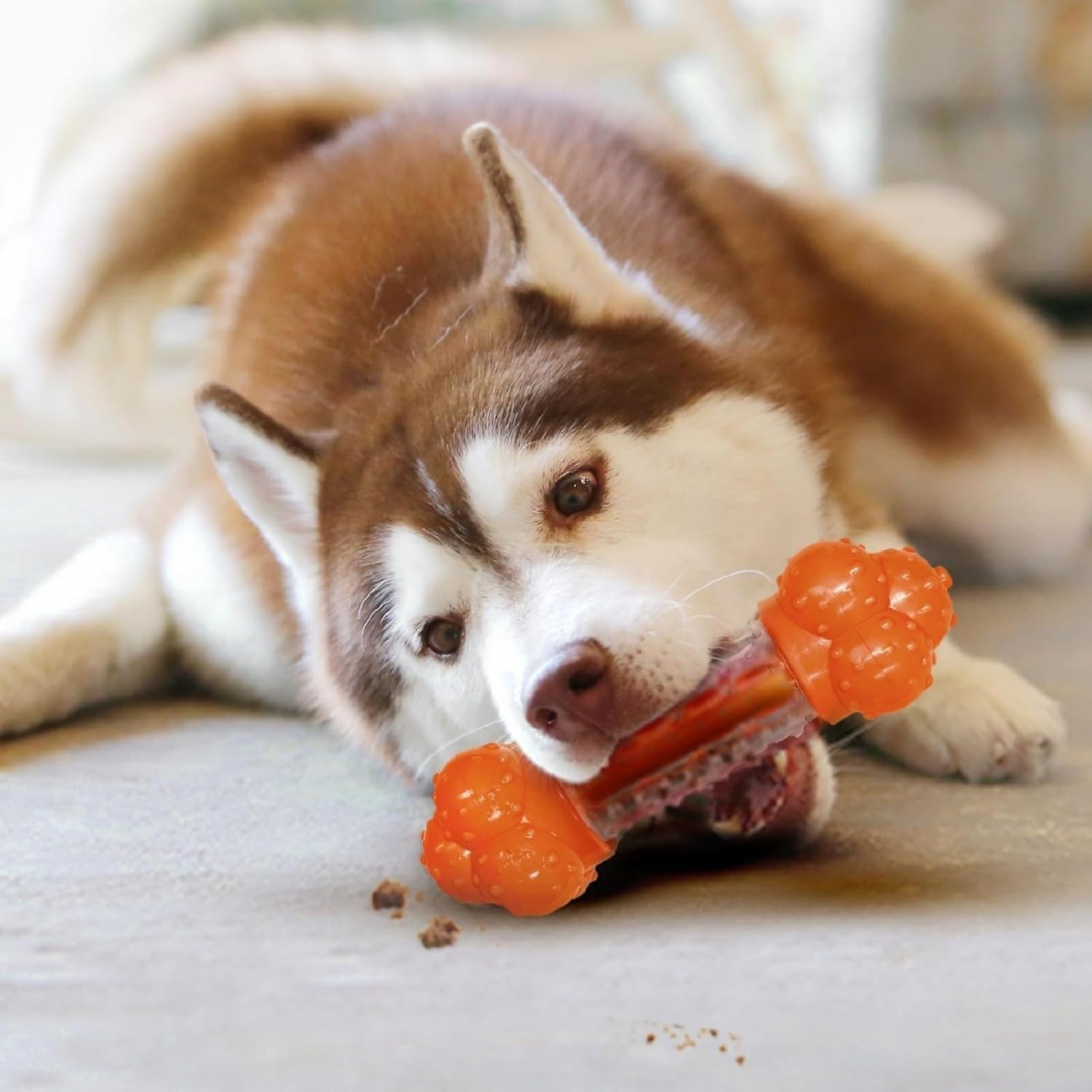 Nylabone Sneaky Snacker Treat Toy Chew - Large (up to 23kg)