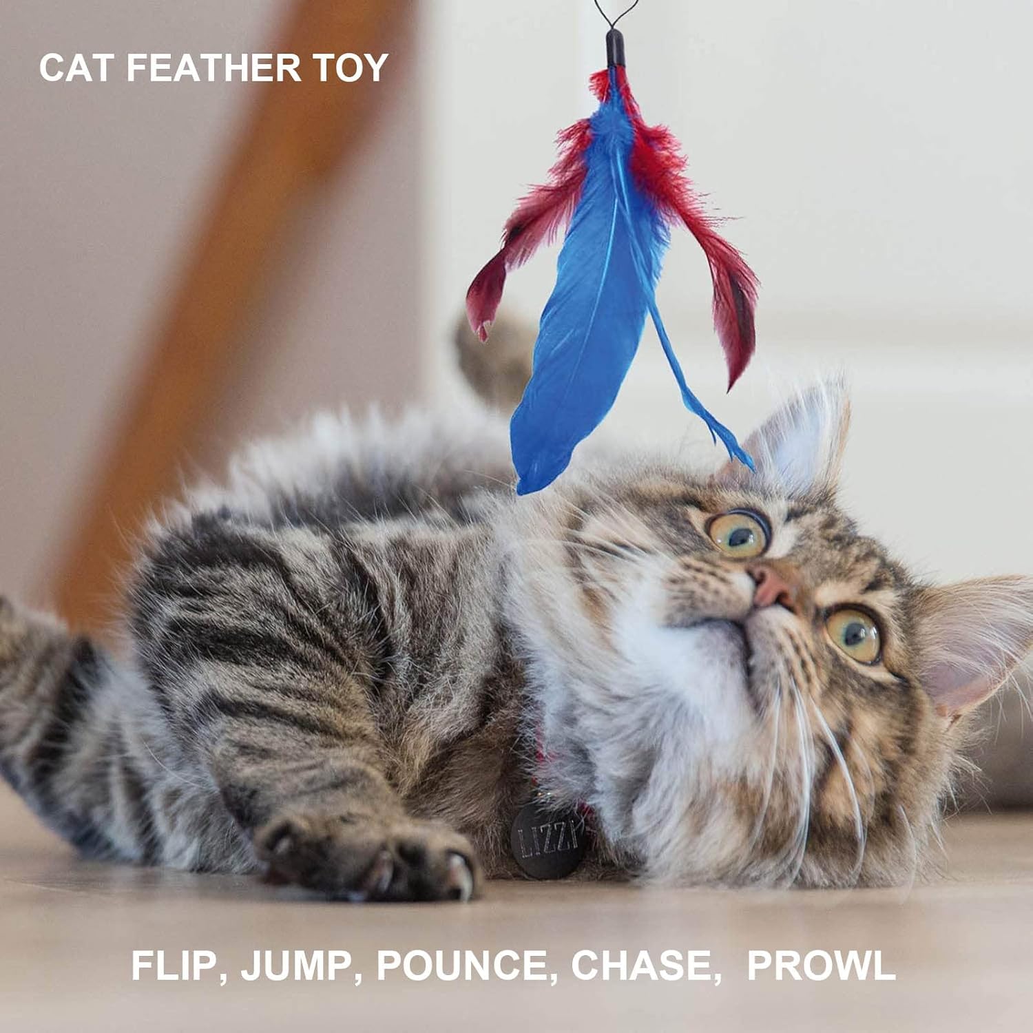 Cat Fishing Rod Toy Set with 9 attachments