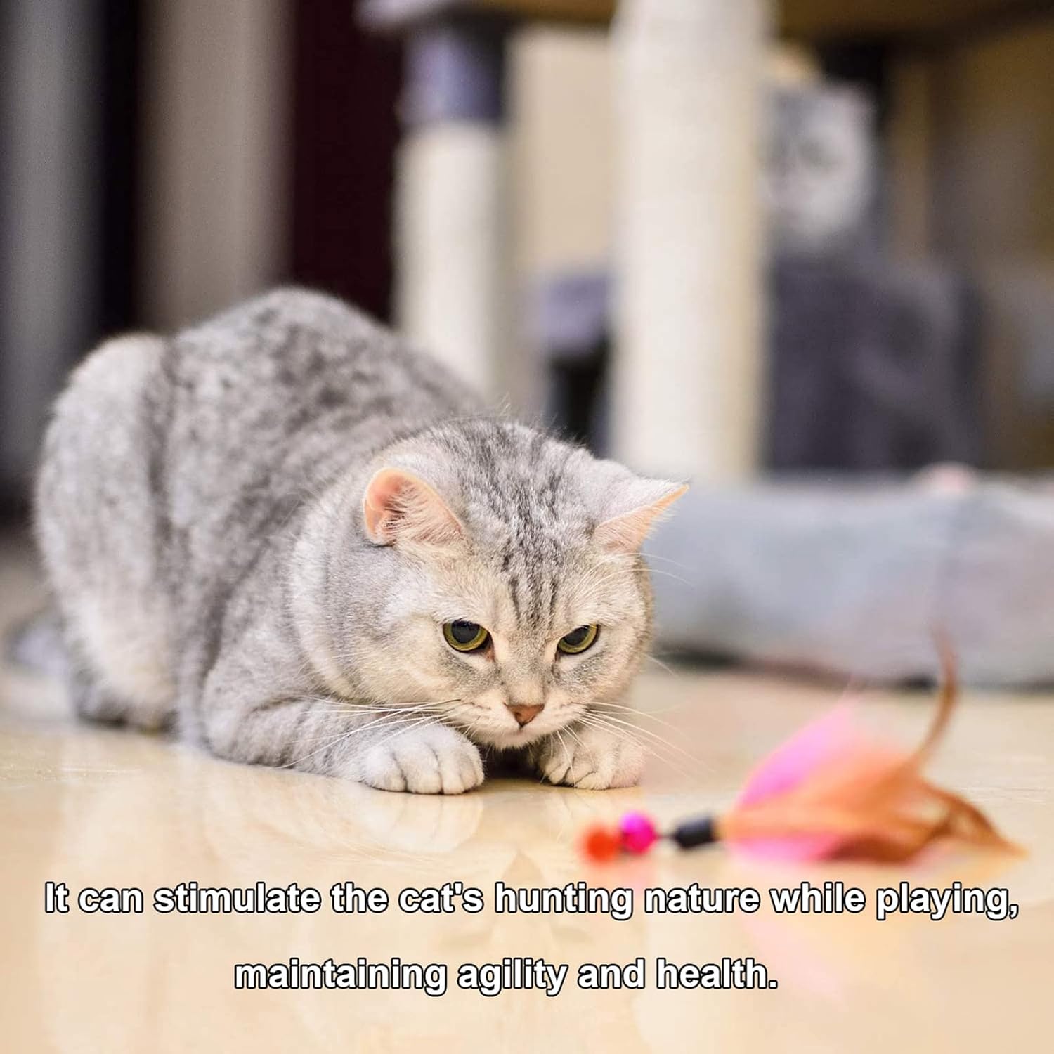 Cat Fishing Rod Toy Set with 9 attachments