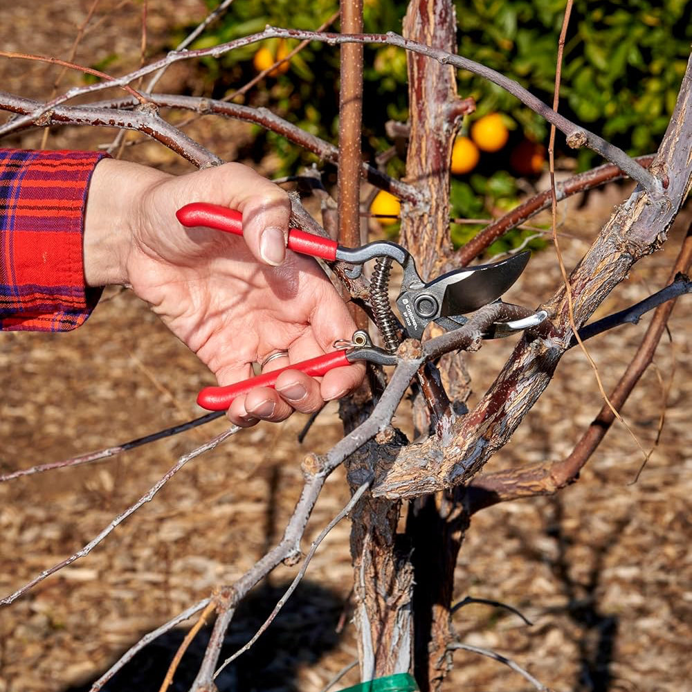 Corona Max Forged ClassicCUT Branch and Stem Pruner - For Smaller Hands