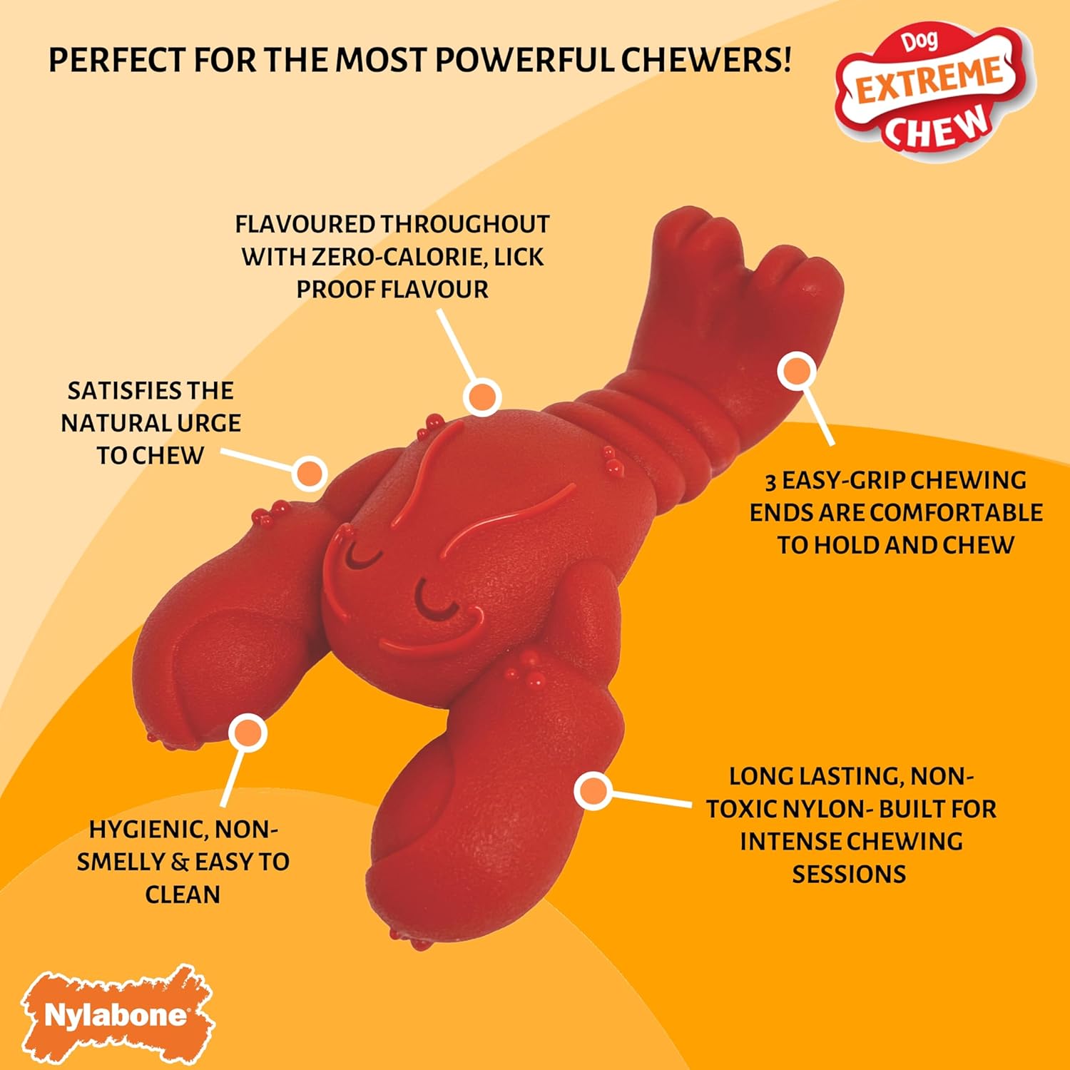 Nylabone Extreme Dog Chew - Small (up to 11kg)