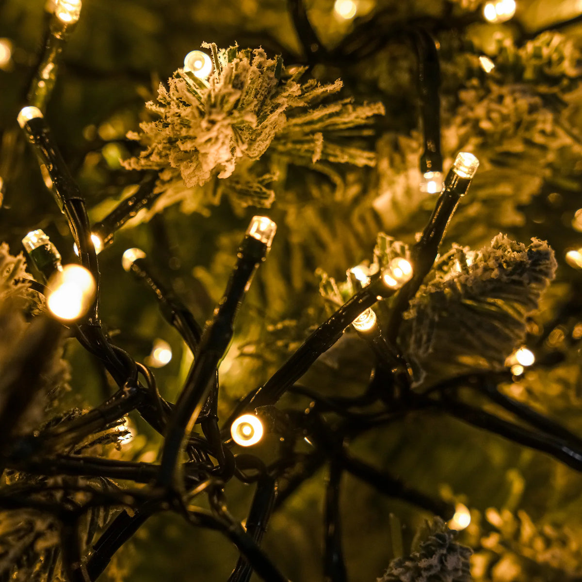 2000 Ultrabrite Indoor / Outdoor Multifunction Low Voltage LED String CLUSTER Lights - mains powered