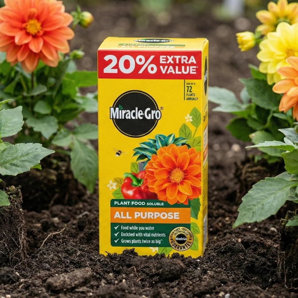 Miracle Gro All Purpose Plant Food + 20 % Free 1.2Kg