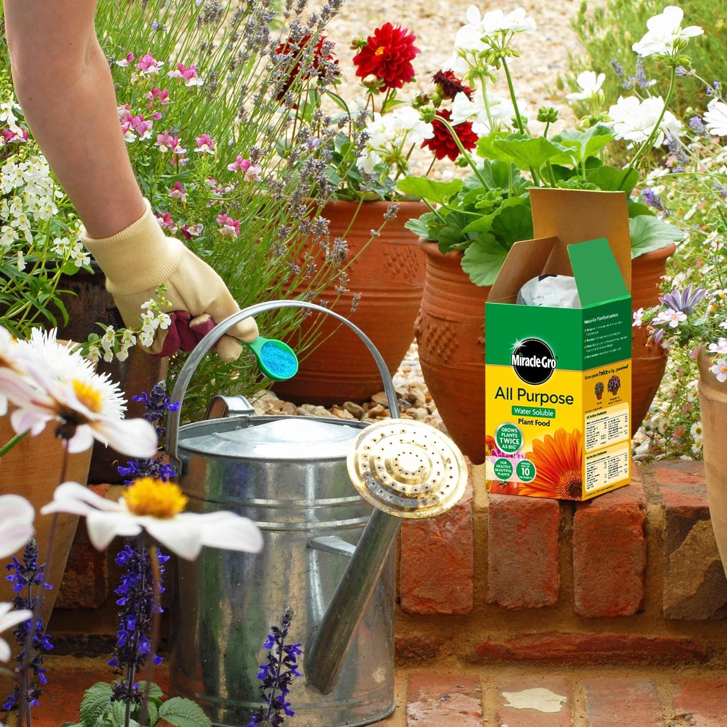 Miracle Gro All Purpose Plant Food + 20 % Free 1.2Kg