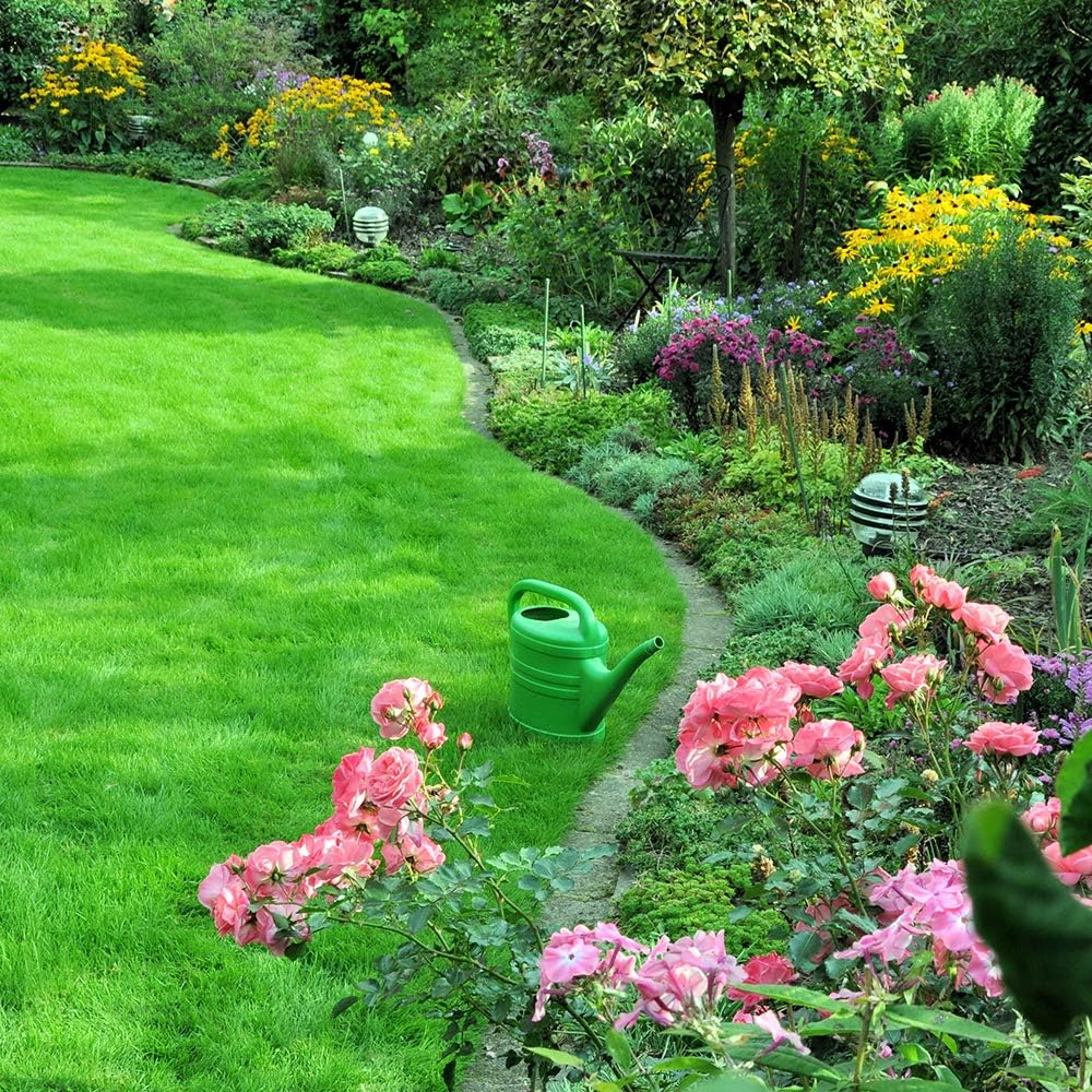 Doff Green Fingers Multi-Purpose Lawn Seed 1kg - covers 40 sqm