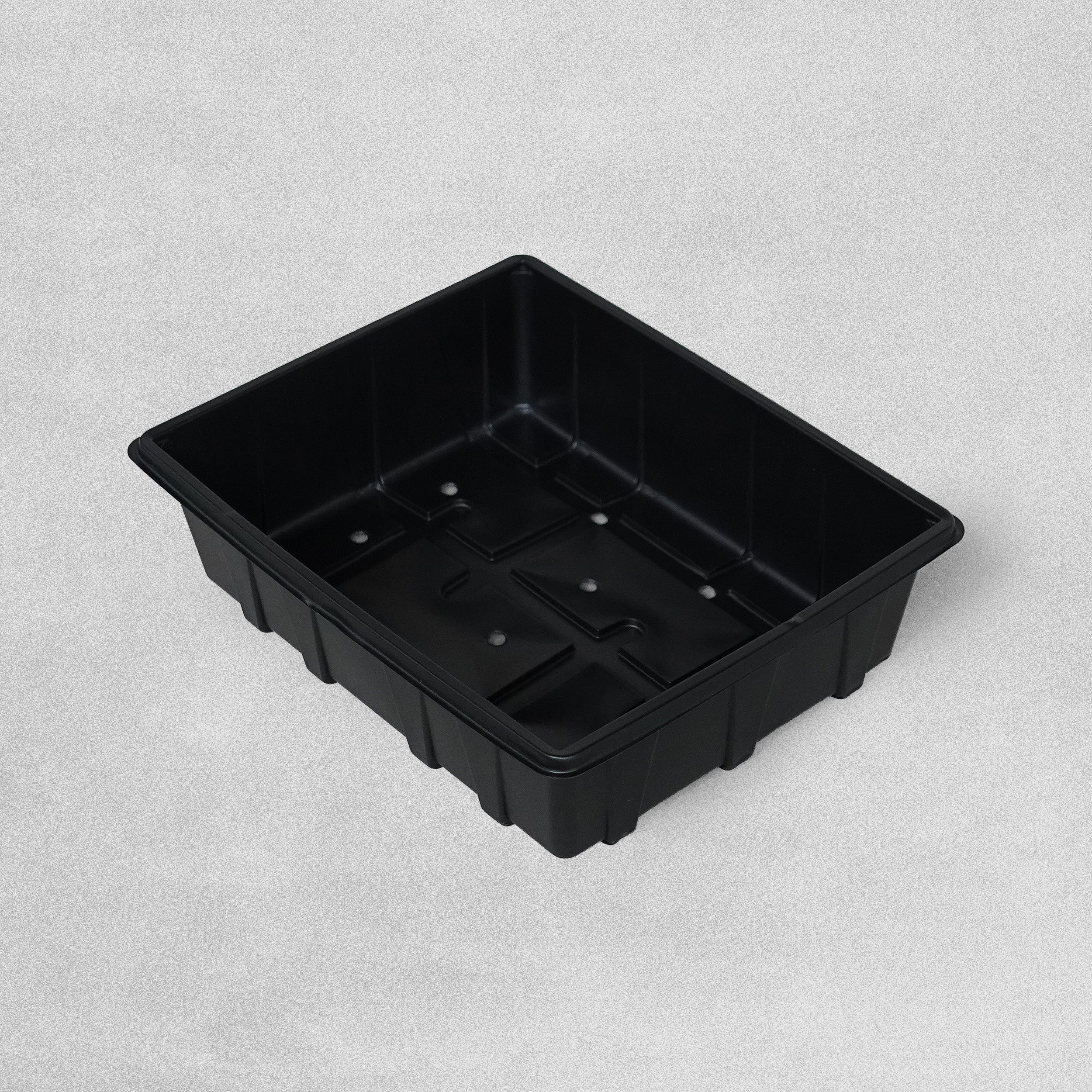Seed Trays - Pack of 5 Trays