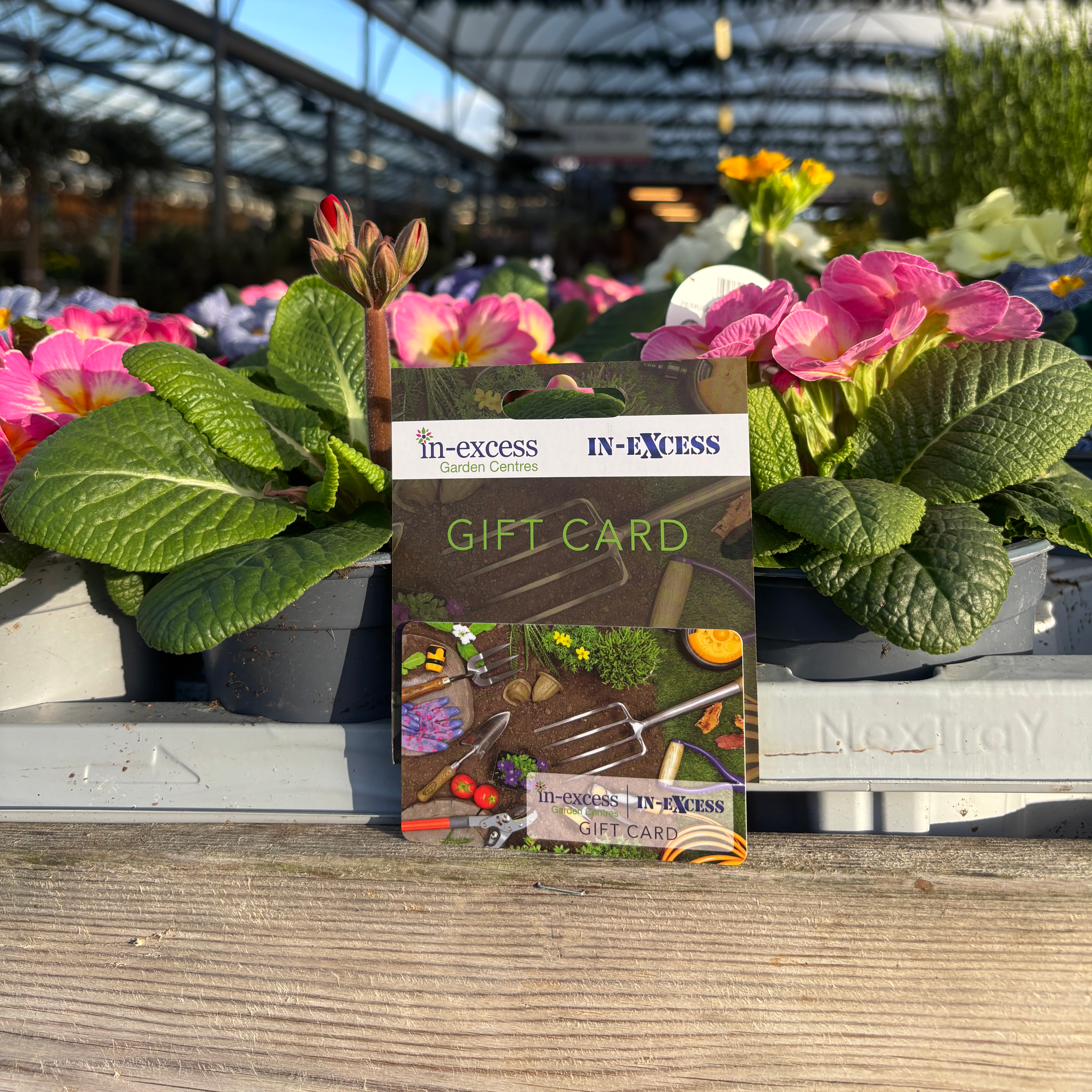 In-Excess Gift Cards - 4 Designs Available