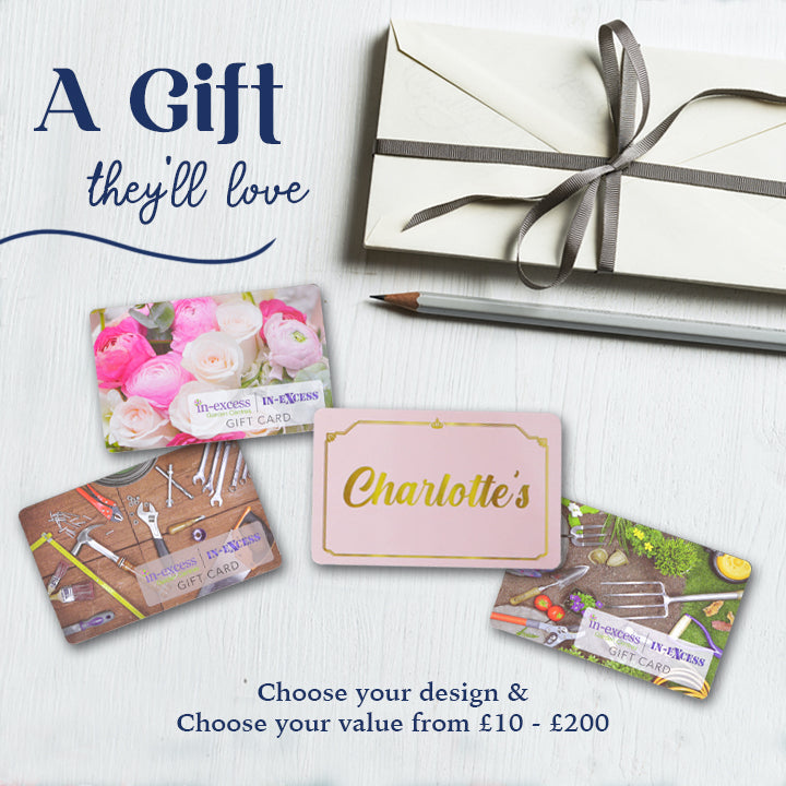 In-Excess Gift Cards - 4 Designs Available