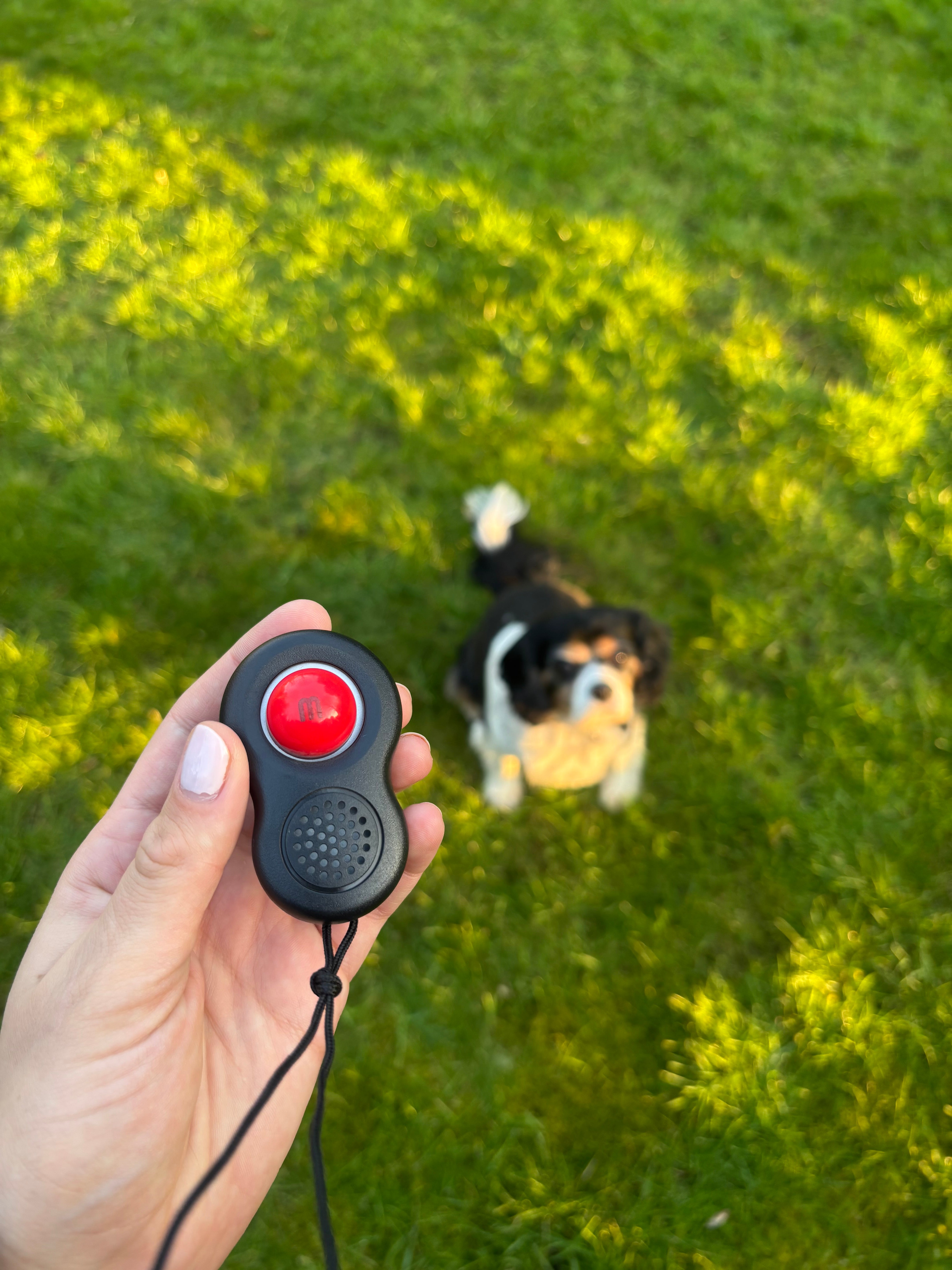 Mikki Clikka Training Aid