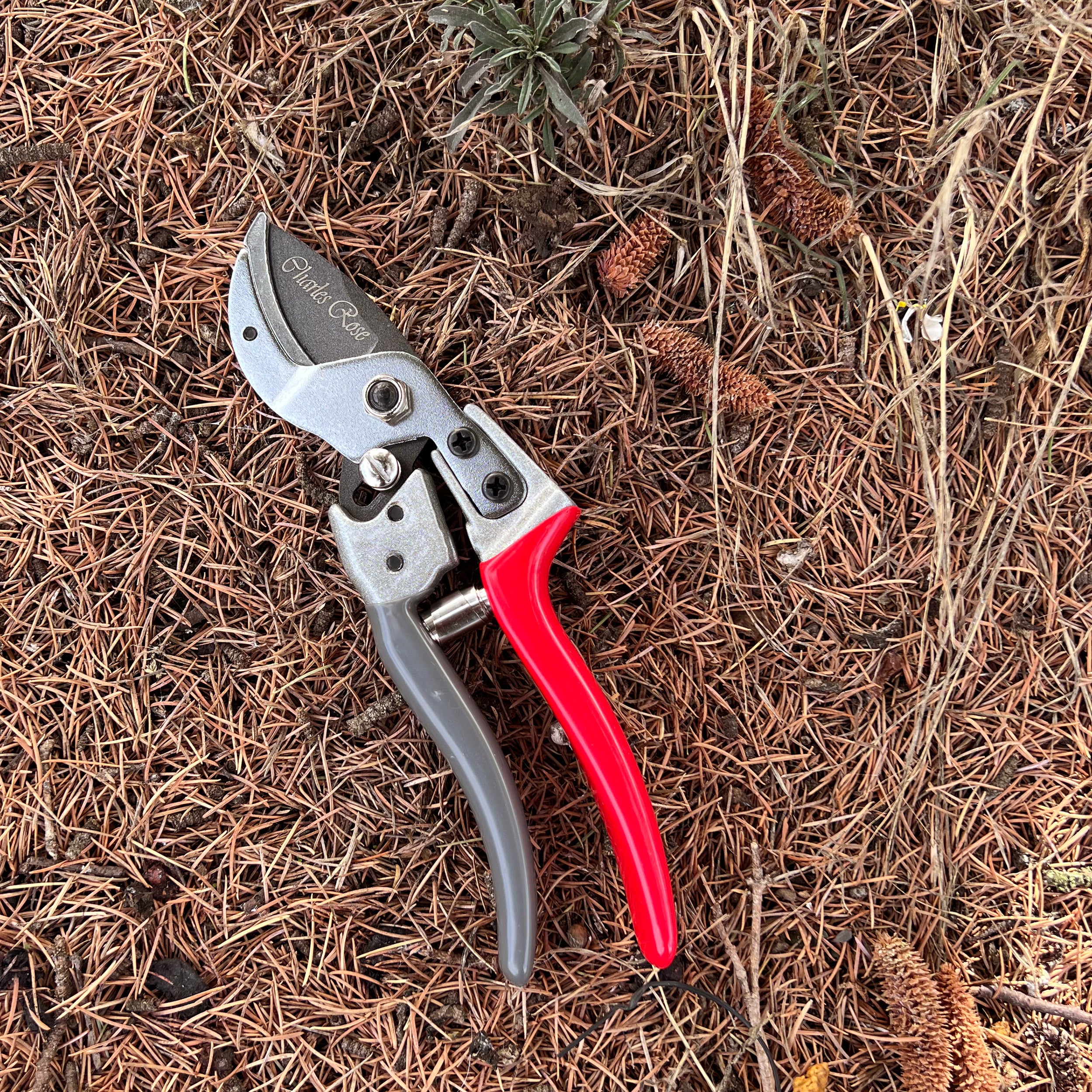 Charles Rose Anvil Secateurs 22mm Cutting Diameter
