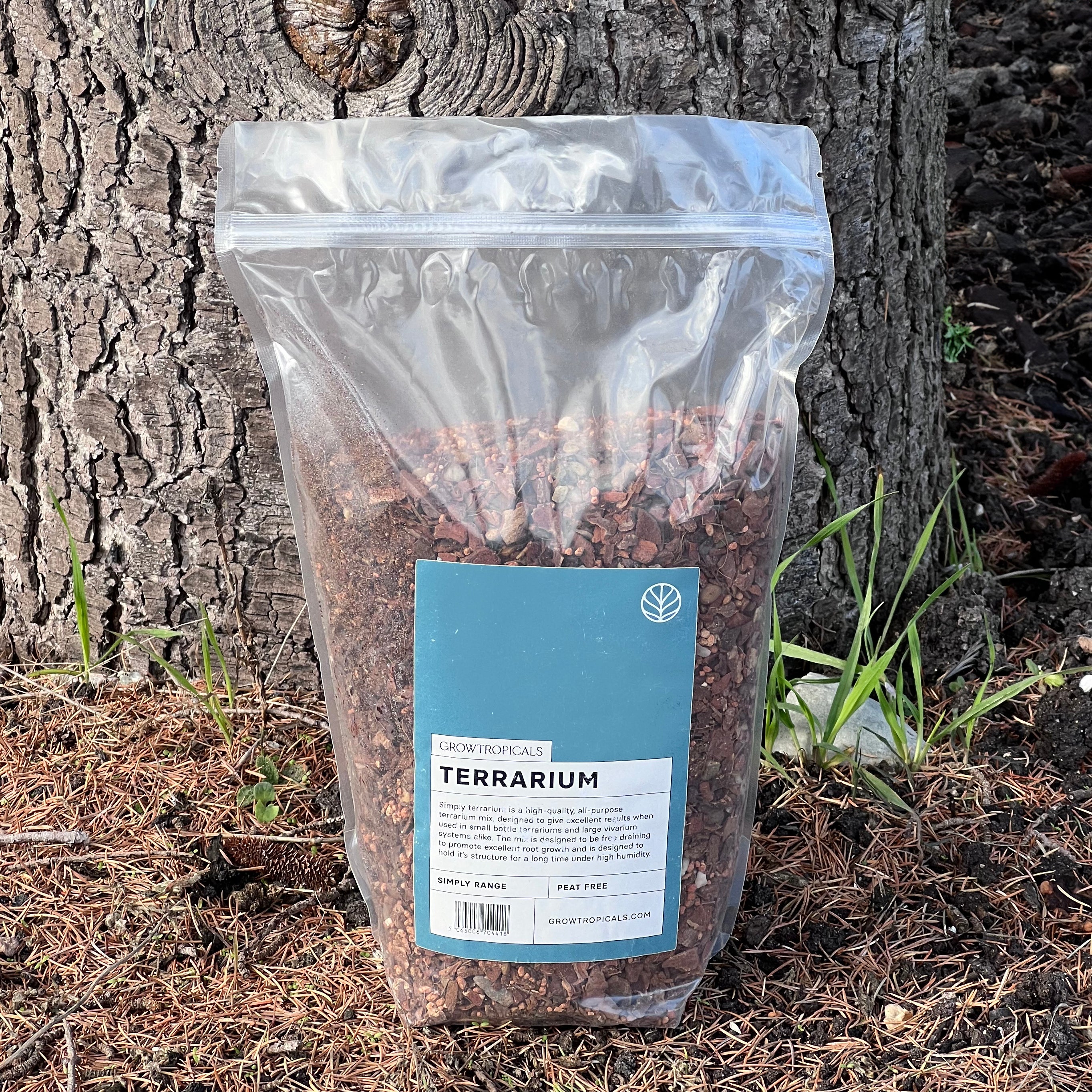 GrowTropical Simply Terrarium 2.5L