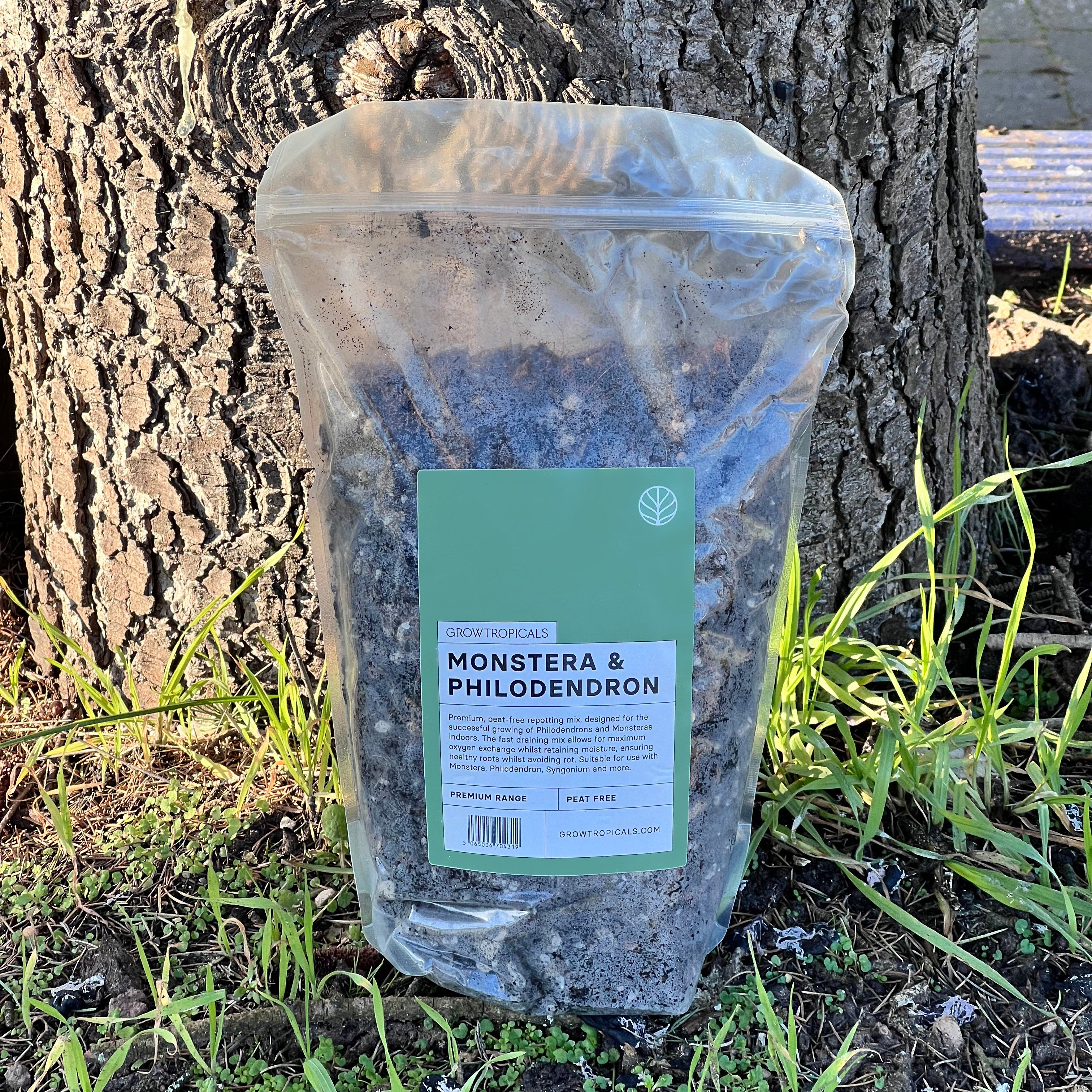 GrowTropicals Philodendron Mix various sizes