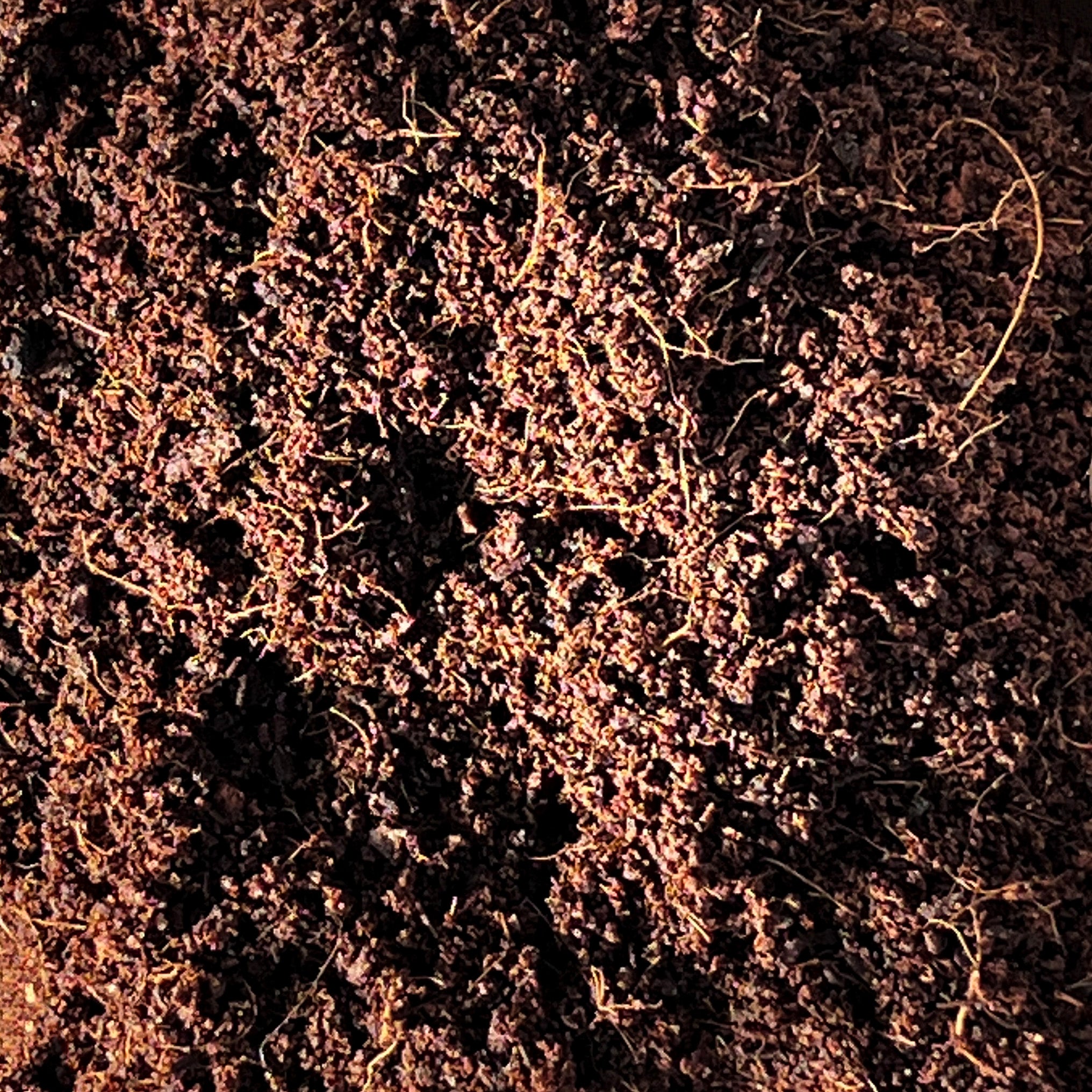 GrowTropical Coco Coir 2.5L