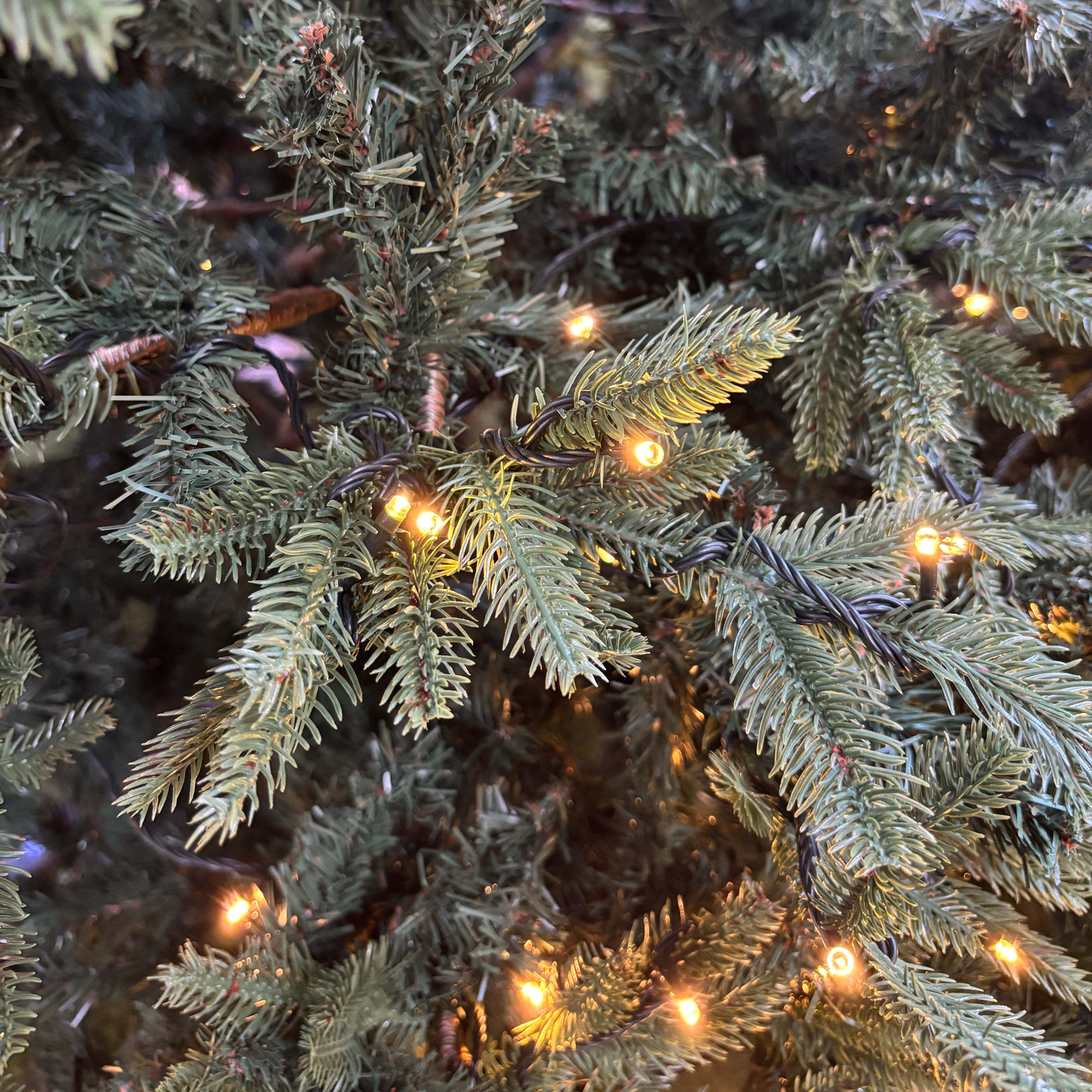 Artificial Green Portland Fir Pre Lit Grand Fir Christmas Tree 8ft