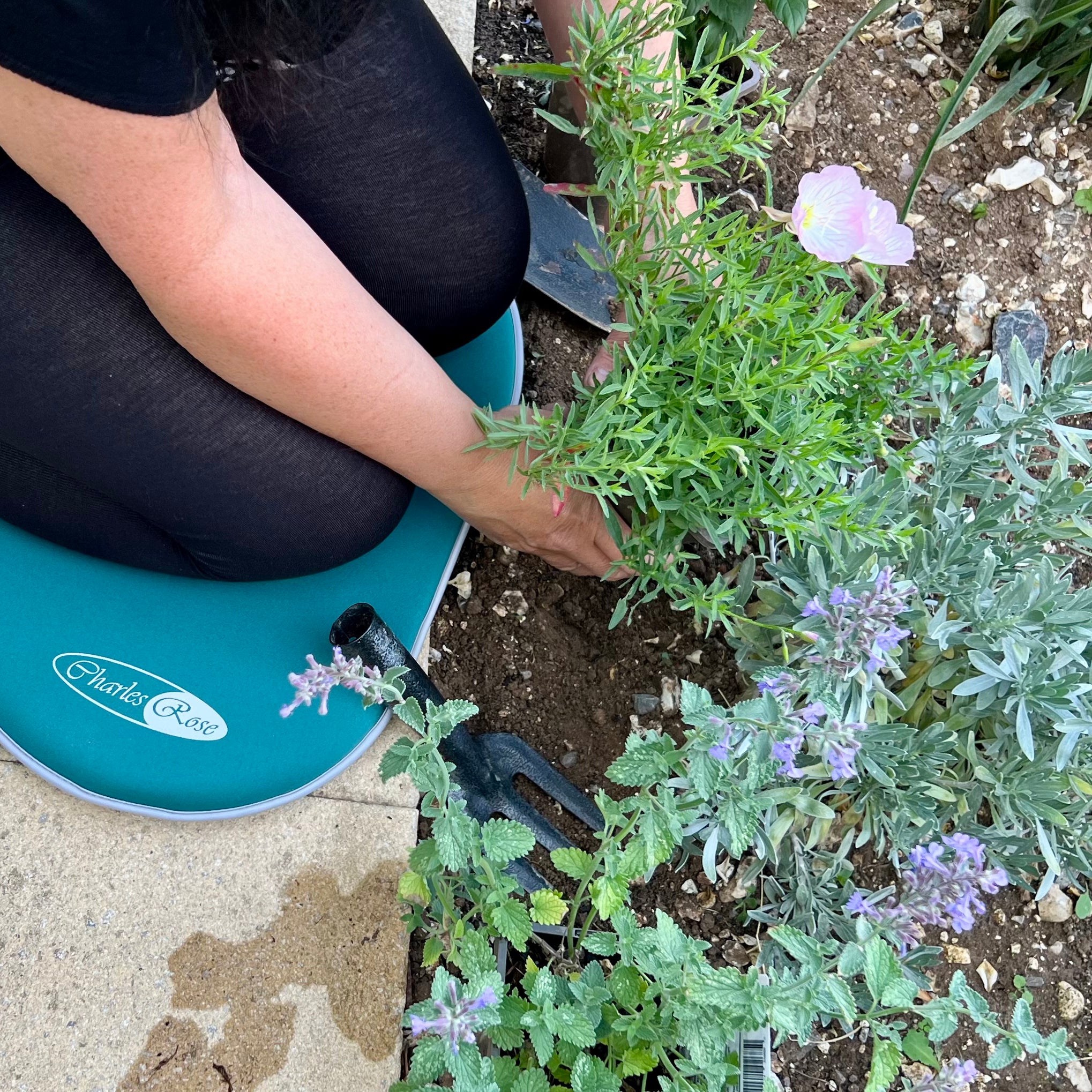 Charles Rose Memory Foam Kneeler Pad