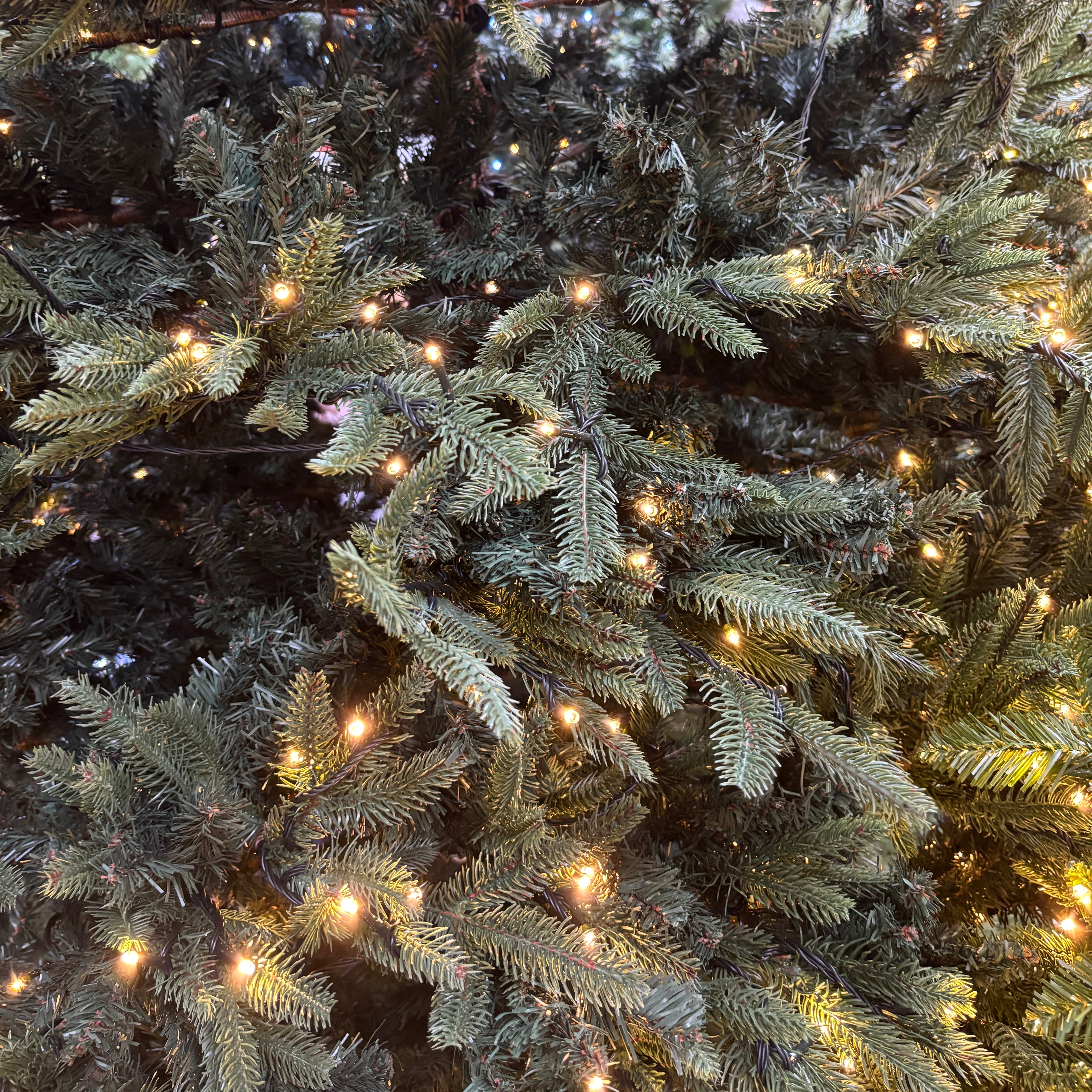 Artificial Green Portland Fir Pre Lit Grand Fir Christmas Tree 8ft