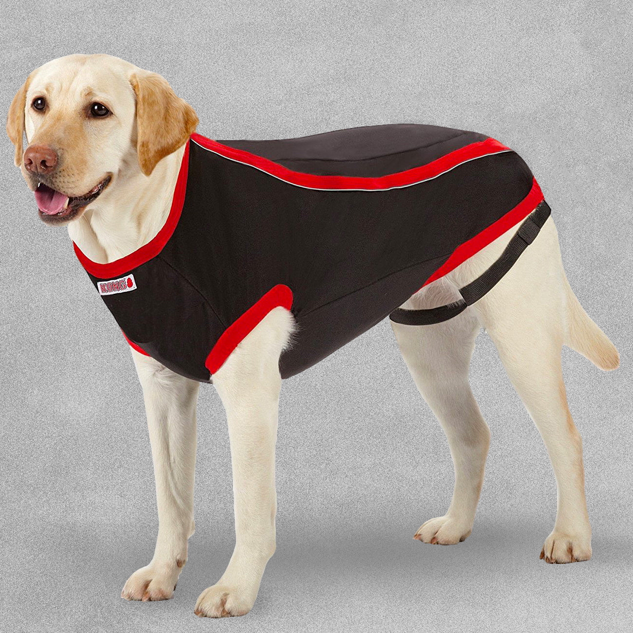 Kong Anxiety Reducing Dog Shirt For Anxious Dogs