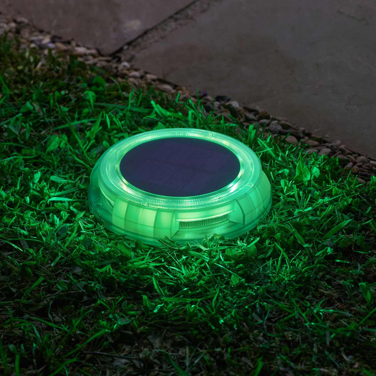 Smart Garden Solar Decor Disk - 4pcs