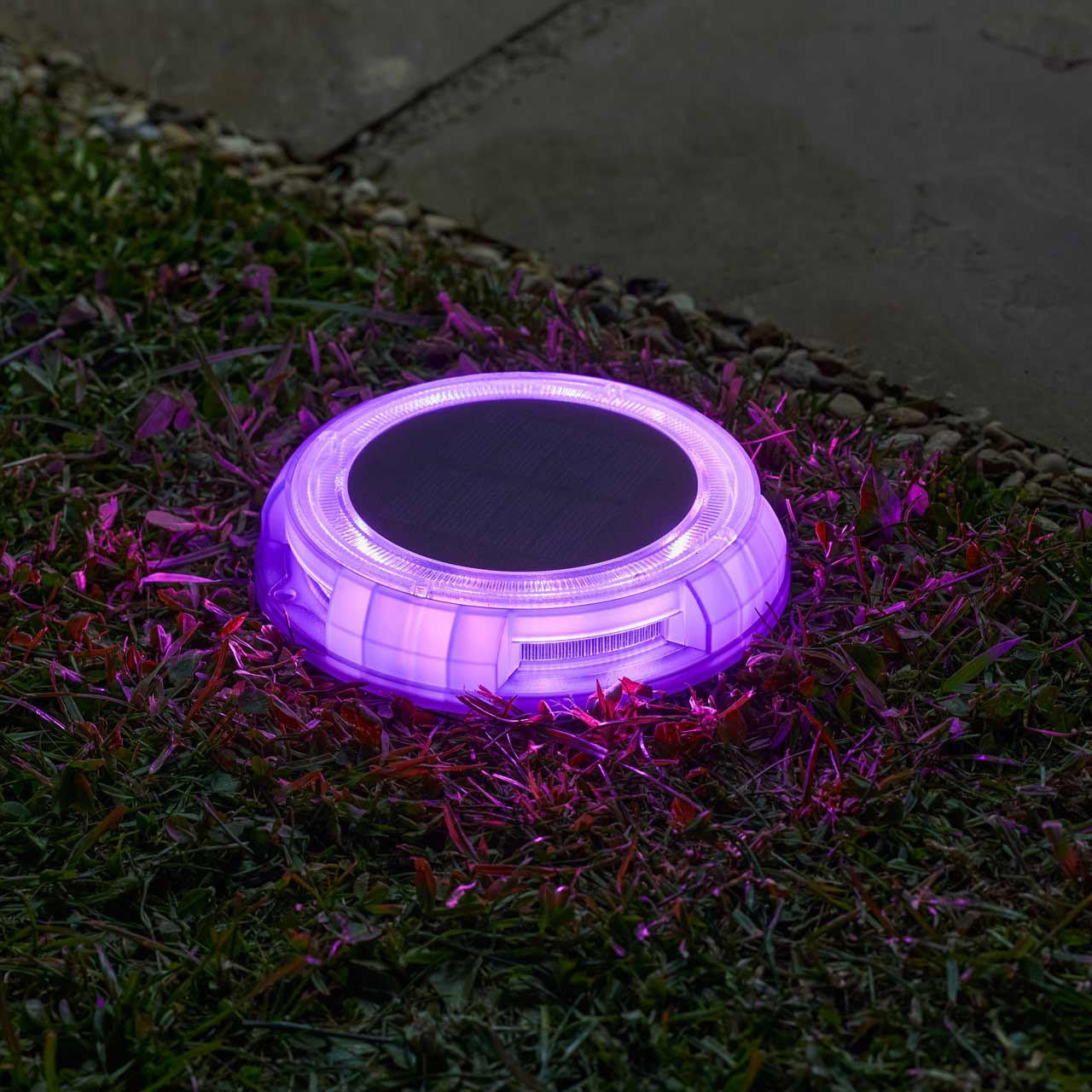 Smart Garden Solar Decor Disk - 4pcs