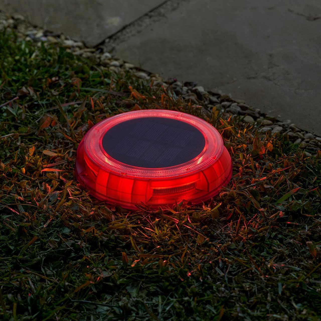 Smart Garden Solar Decor Disk - 4pcs