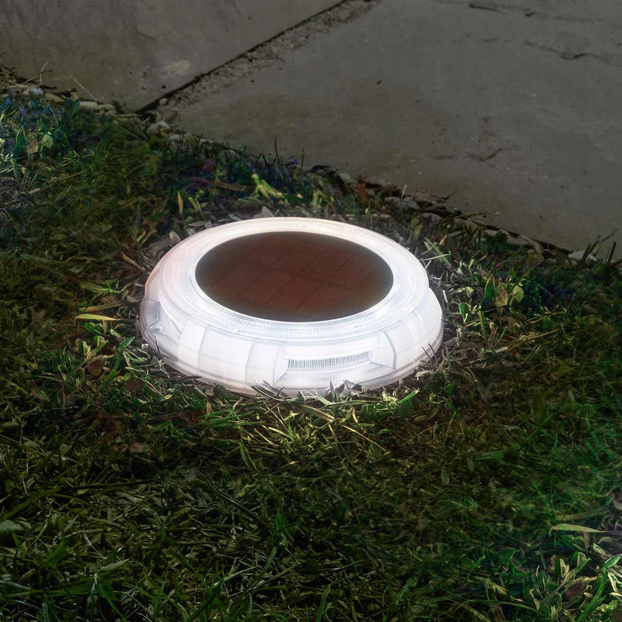 Smart Garden Solar Decor Disk - 4pcs