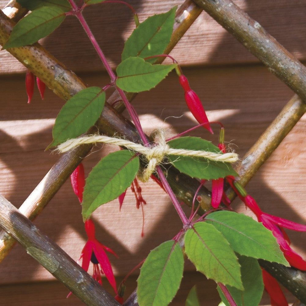 The Good Life Natural Twine - 100m