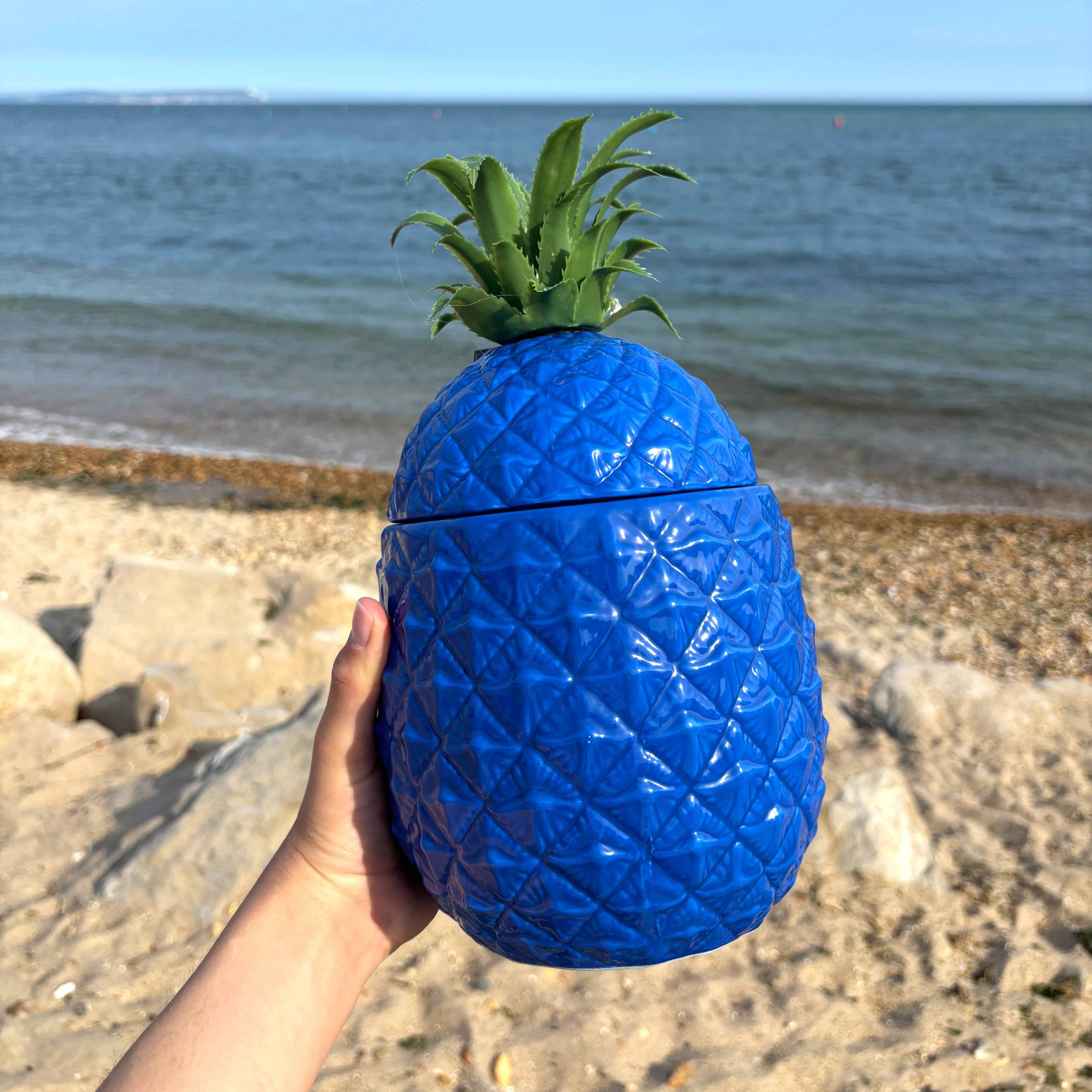 Blue Pineapple Ice Bucket / Storage Container