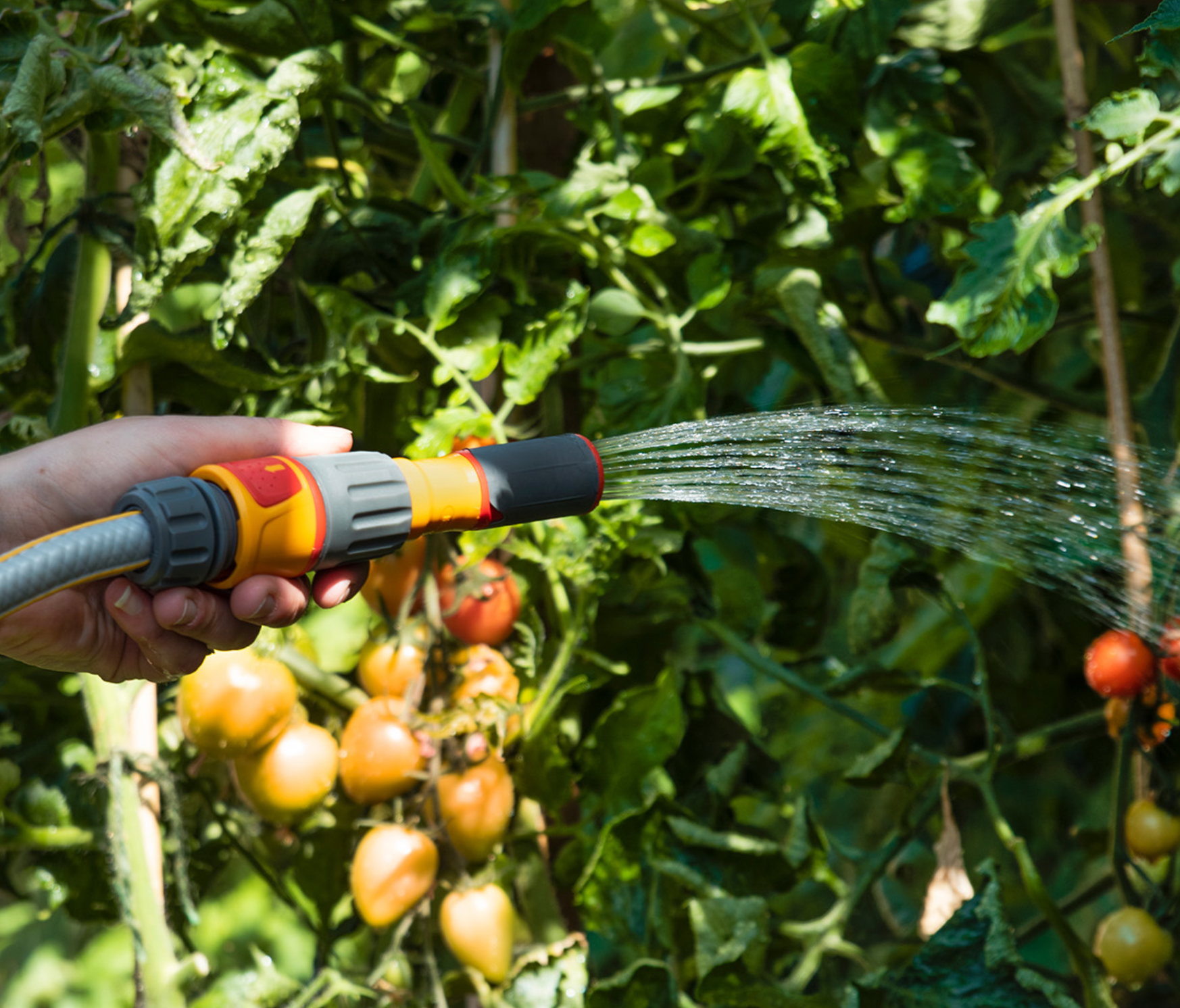 Hozelock 3 in 1 Nozzles & Aquastop Connector