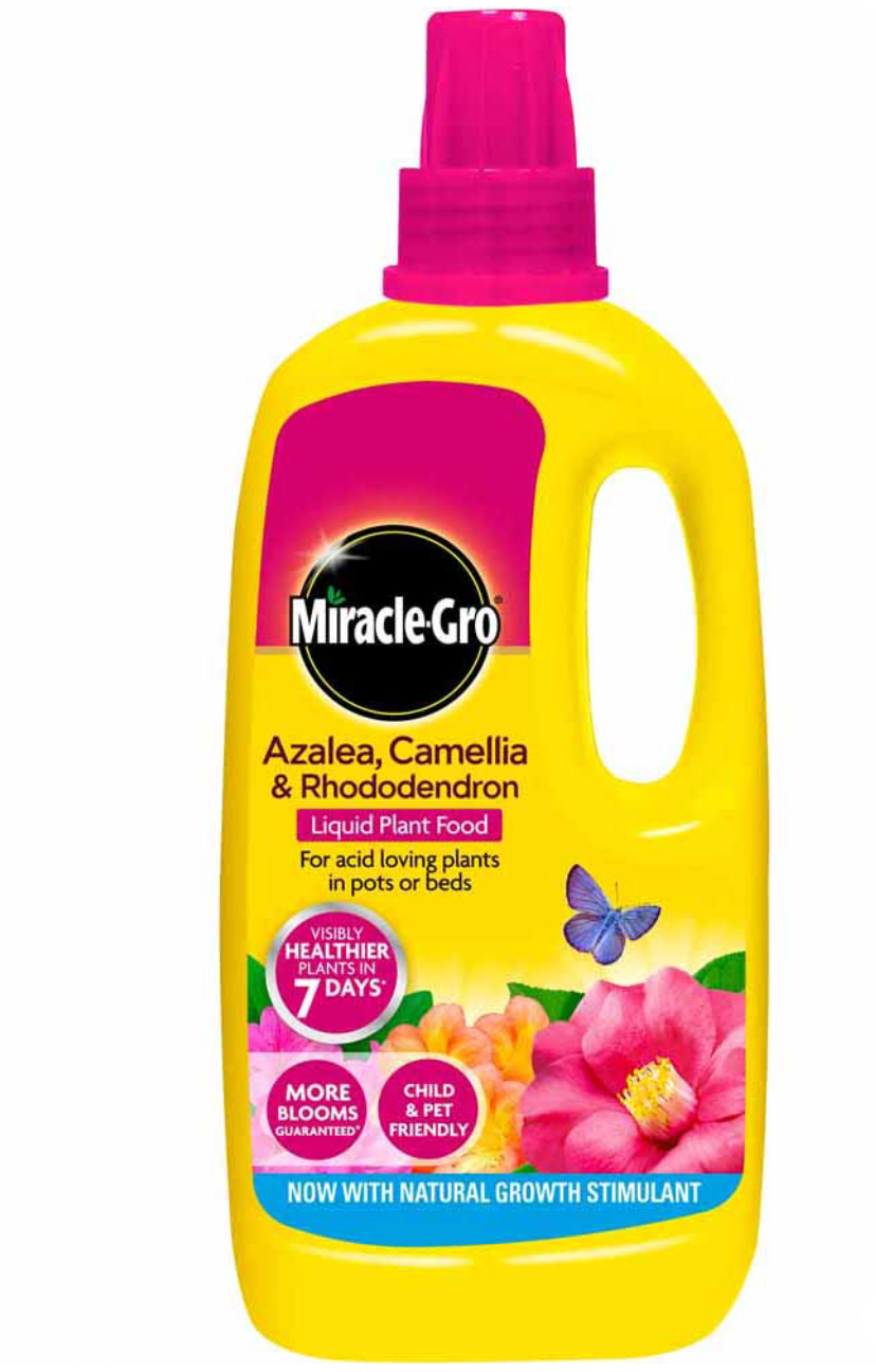 Miracle-Gro Azalea, Camellia & Rhododendron Concentrated Liquid 1L