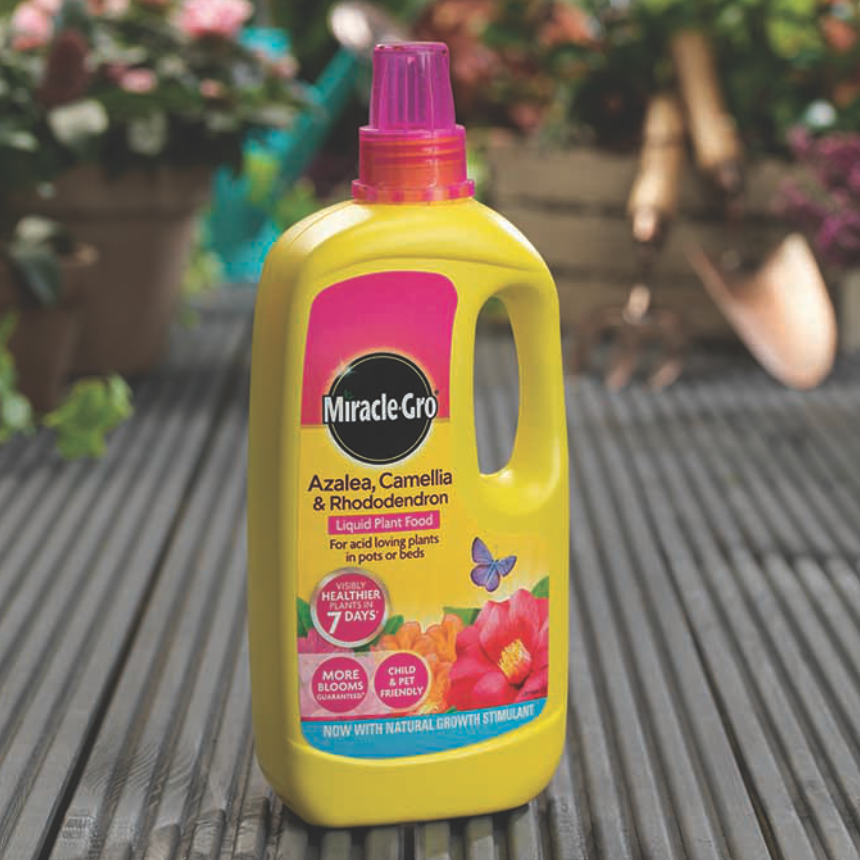 Miracle-Gro Azalea, Camellia & Rhododendron Concentrated Liquid 1L