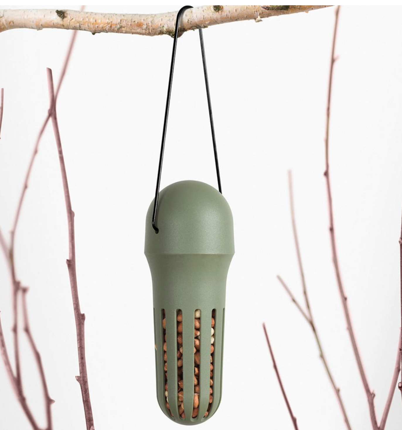 Singing Friend Hello Max Bird Feeder