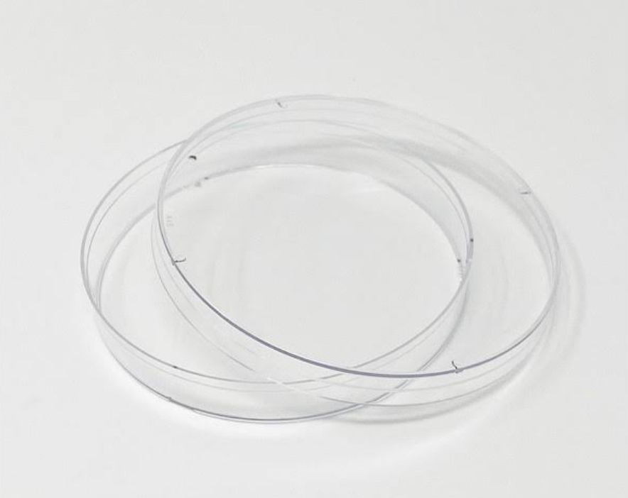 Petri Dish With Lid, 100 Mm/15 mm, Sterile, 25/Pack