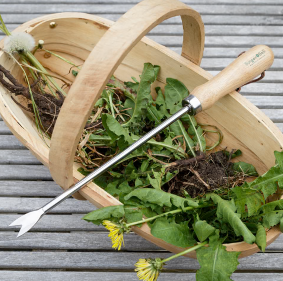 Burgon & Ball Dandelion Weeder - RHS Endorsed