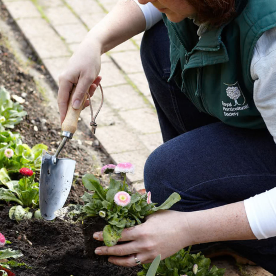 Burgon & Ball Hand Trowel - RHS Endorsed