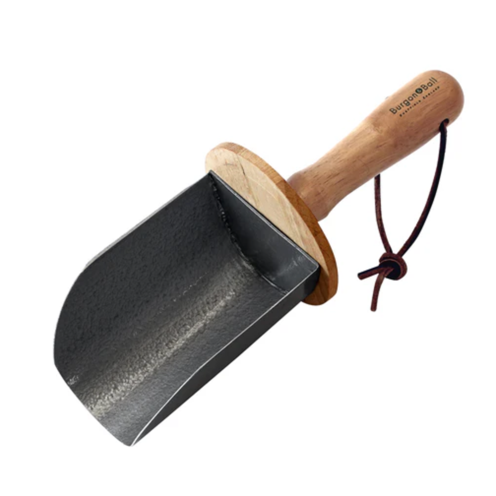 Burgon & Ball Container Scoop - RHS Endorsed
