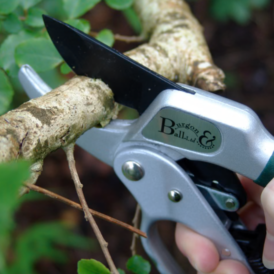 Burgon & Ball Ratchet Pruner - RHS Endorsed