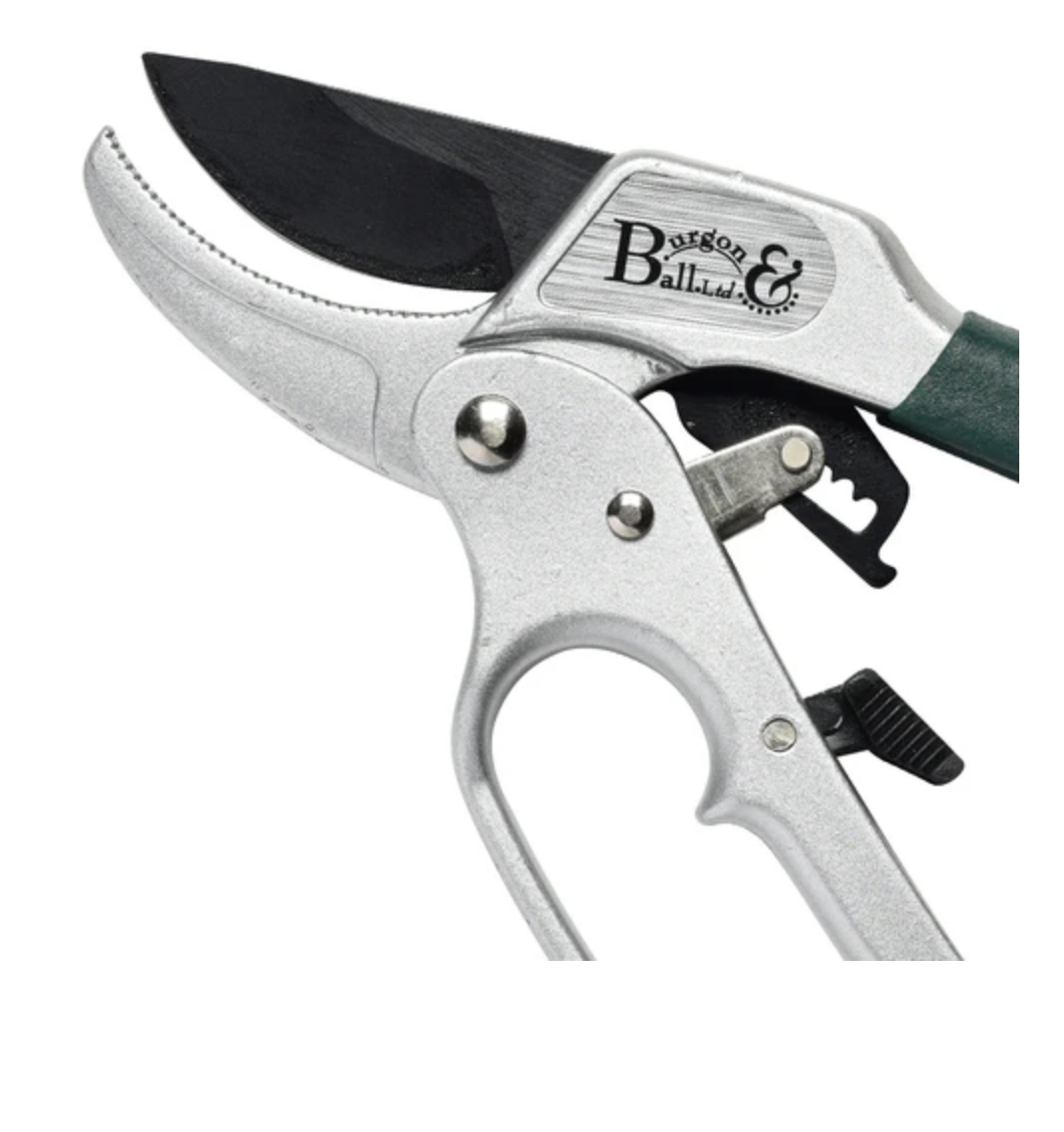 Burgon & Ball Ratchet Pruner - RHS Endorsed