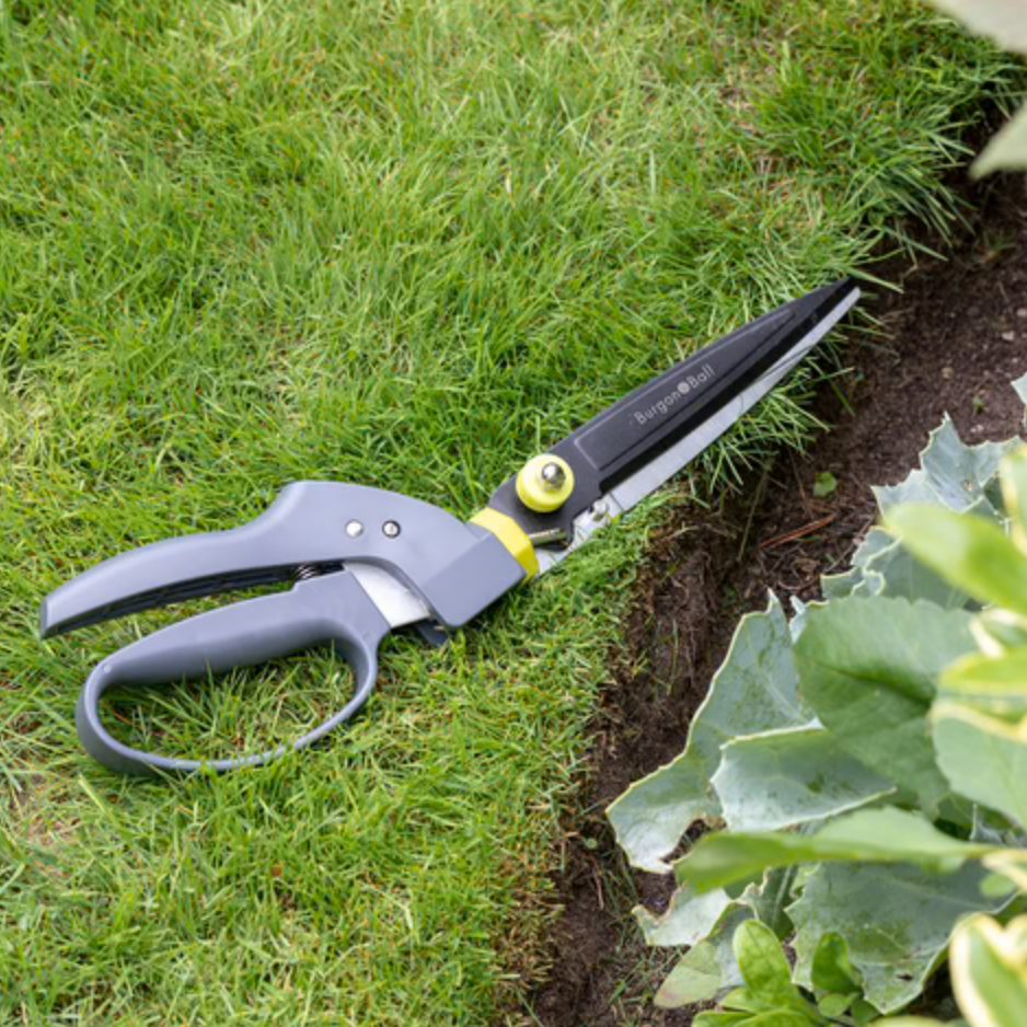 Burgon & Ball Single Handed Grass Shears - RHS Endorsed