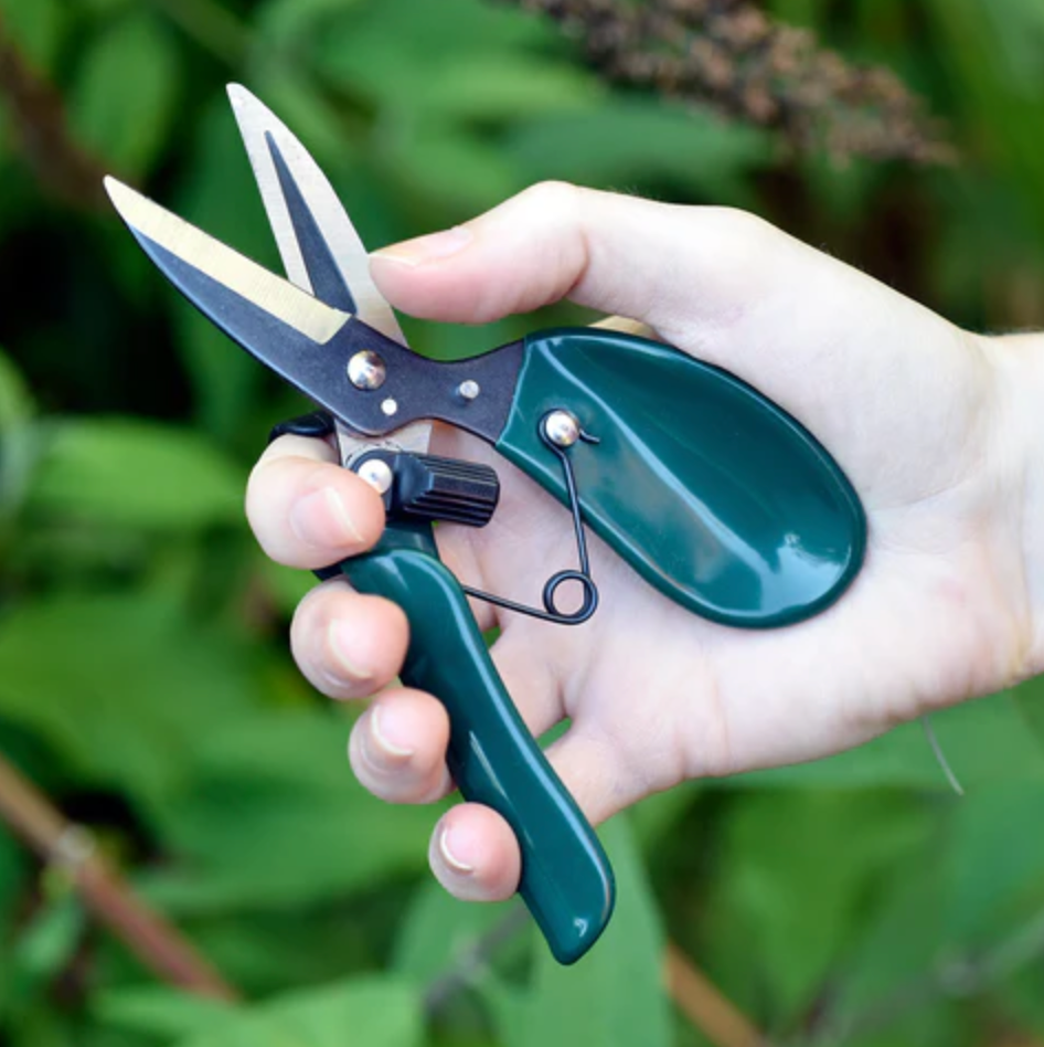 Burgon & Ball Ergo Dead Header Shears - RHS Endorsed