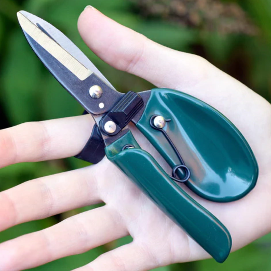 Burgon & Ball Ergo Dead Header Shears - RHS Endorsed