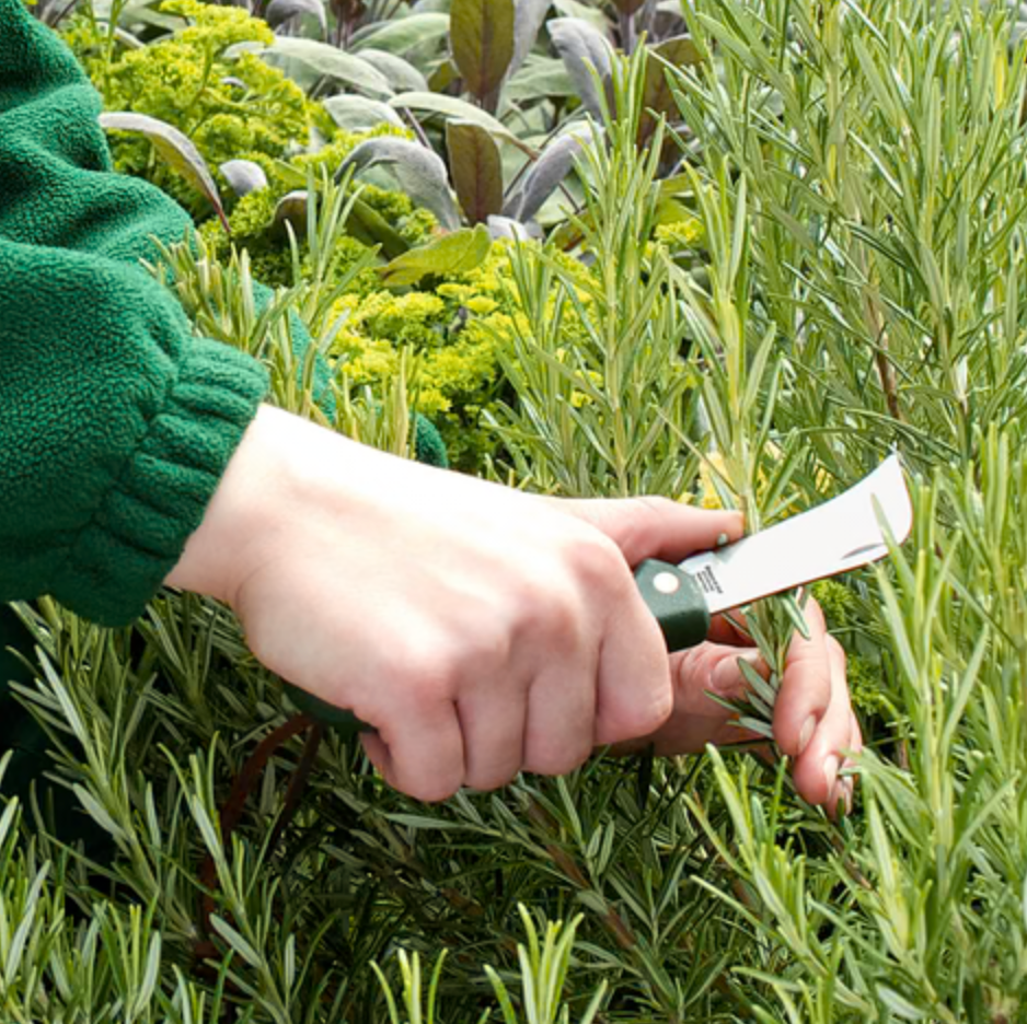 Burgon & Ball Stainless Pocket Knife - RHS Endorsed