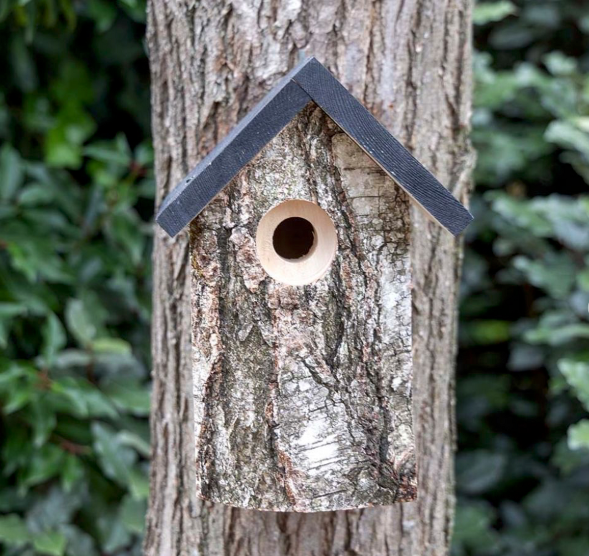 CJ Wildlife Kirkenes Nest Box