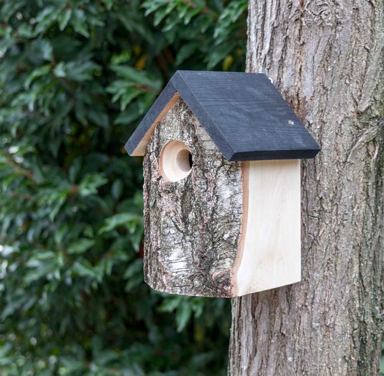 CJ Wildlife Kirkenes Nest Box
