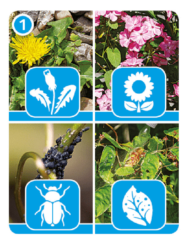 Hozelock 4310 5L Pulsar Plus Sprayer