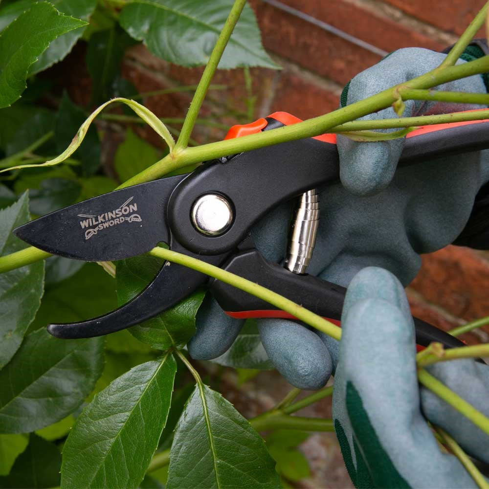 Wilkinson Sword Bypass Pruners