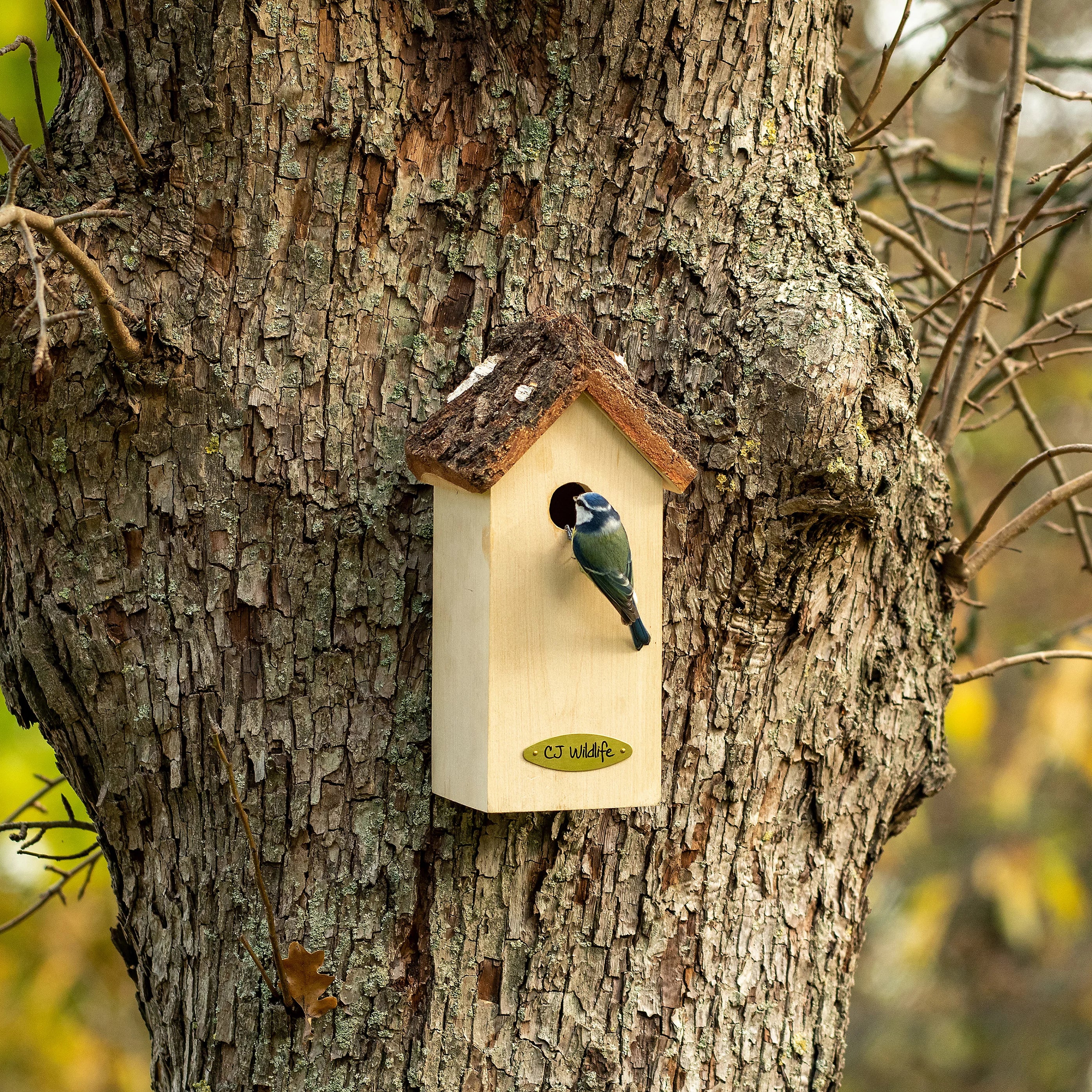 CJ Wildlife Larvik Nest Box