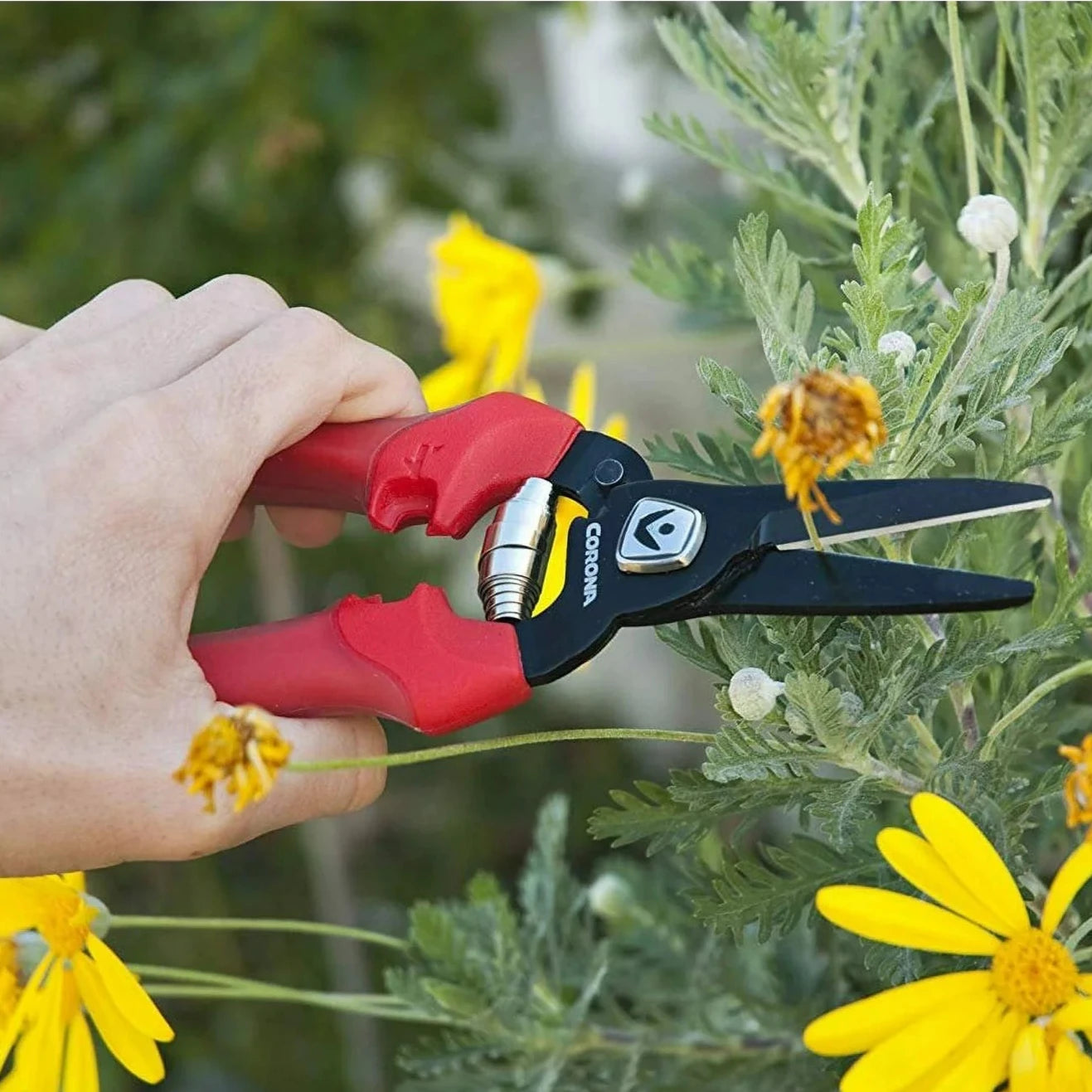 Corona ComfortGEL Fruit & Flower Snip