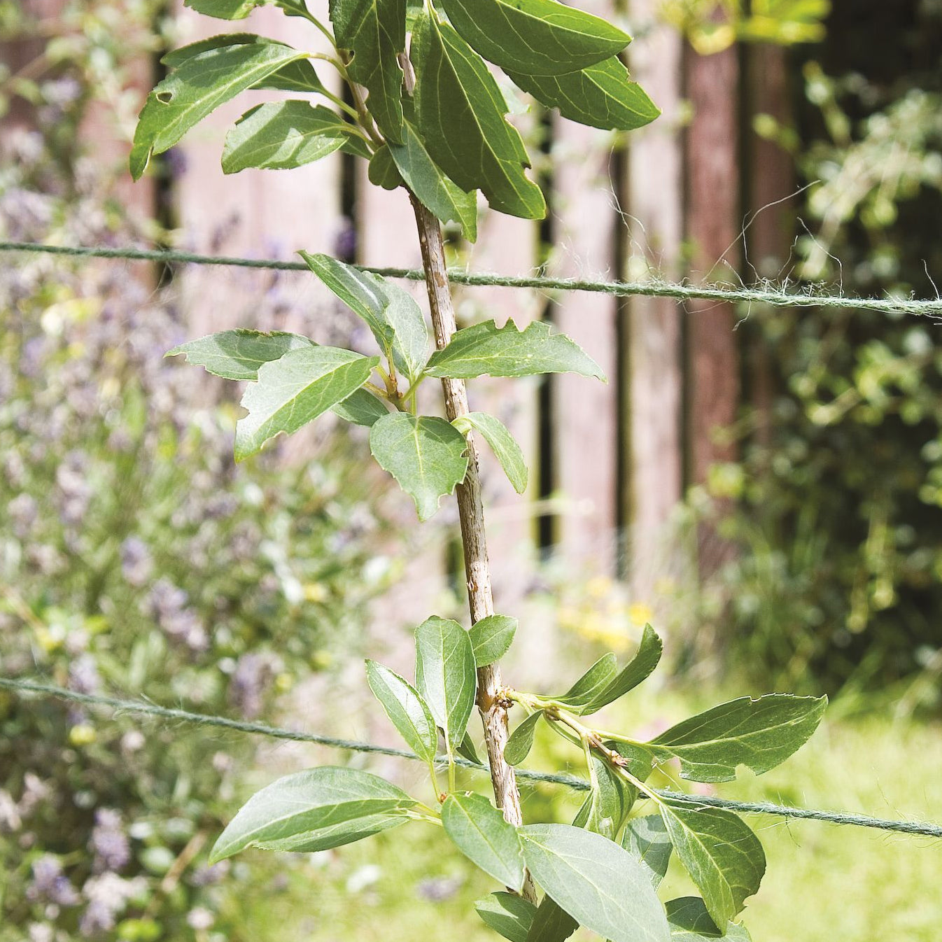 The Good Life Garden Twine 300m