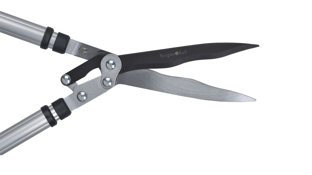 Burgon & Ball Telescopic Wavy Edged Hedge Shear - RHS Endorsed